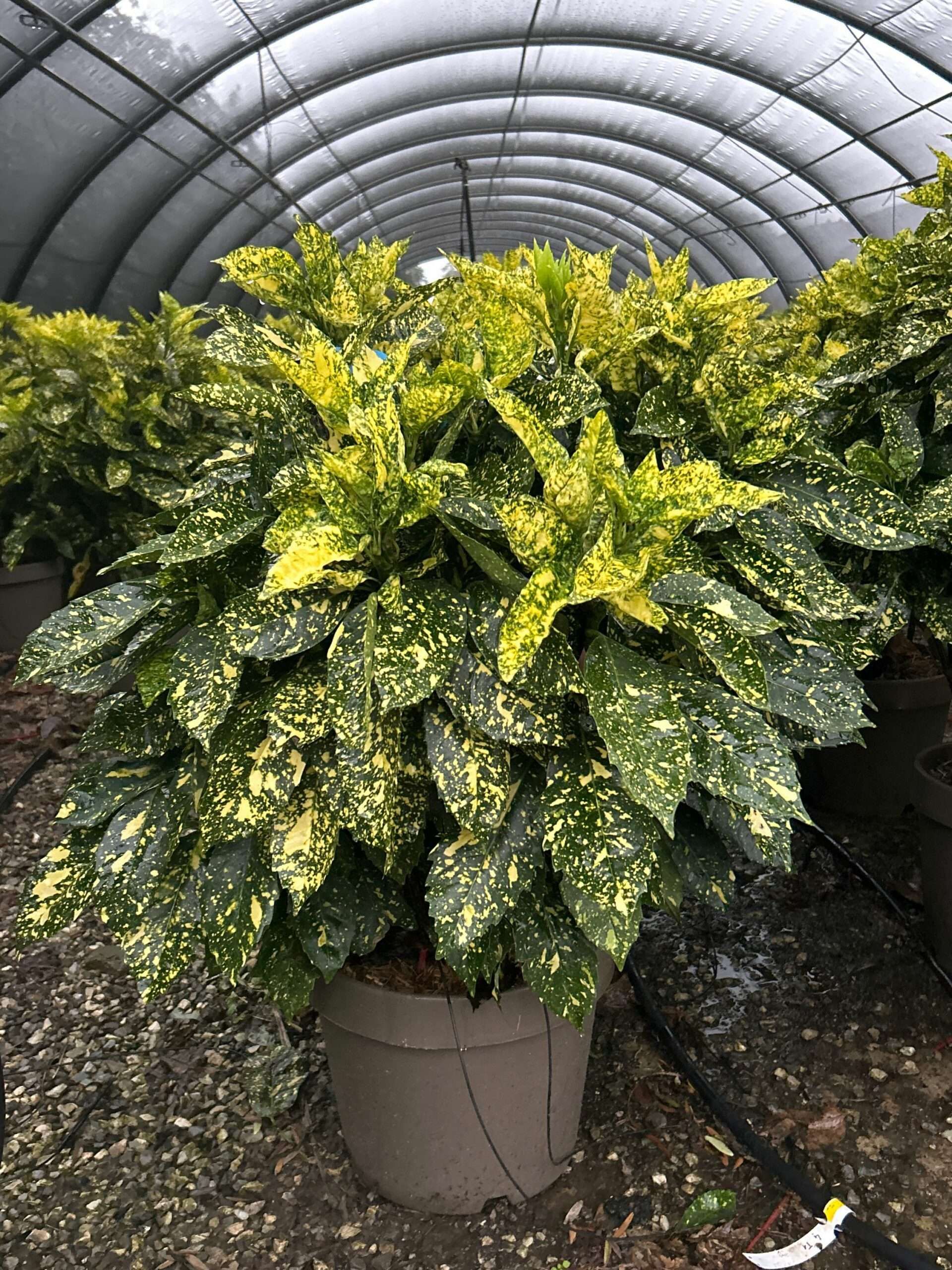 1698161895 scaled d5228cae