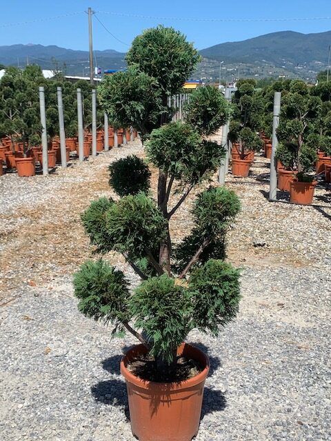 1608062189 rotated d6ca5e53