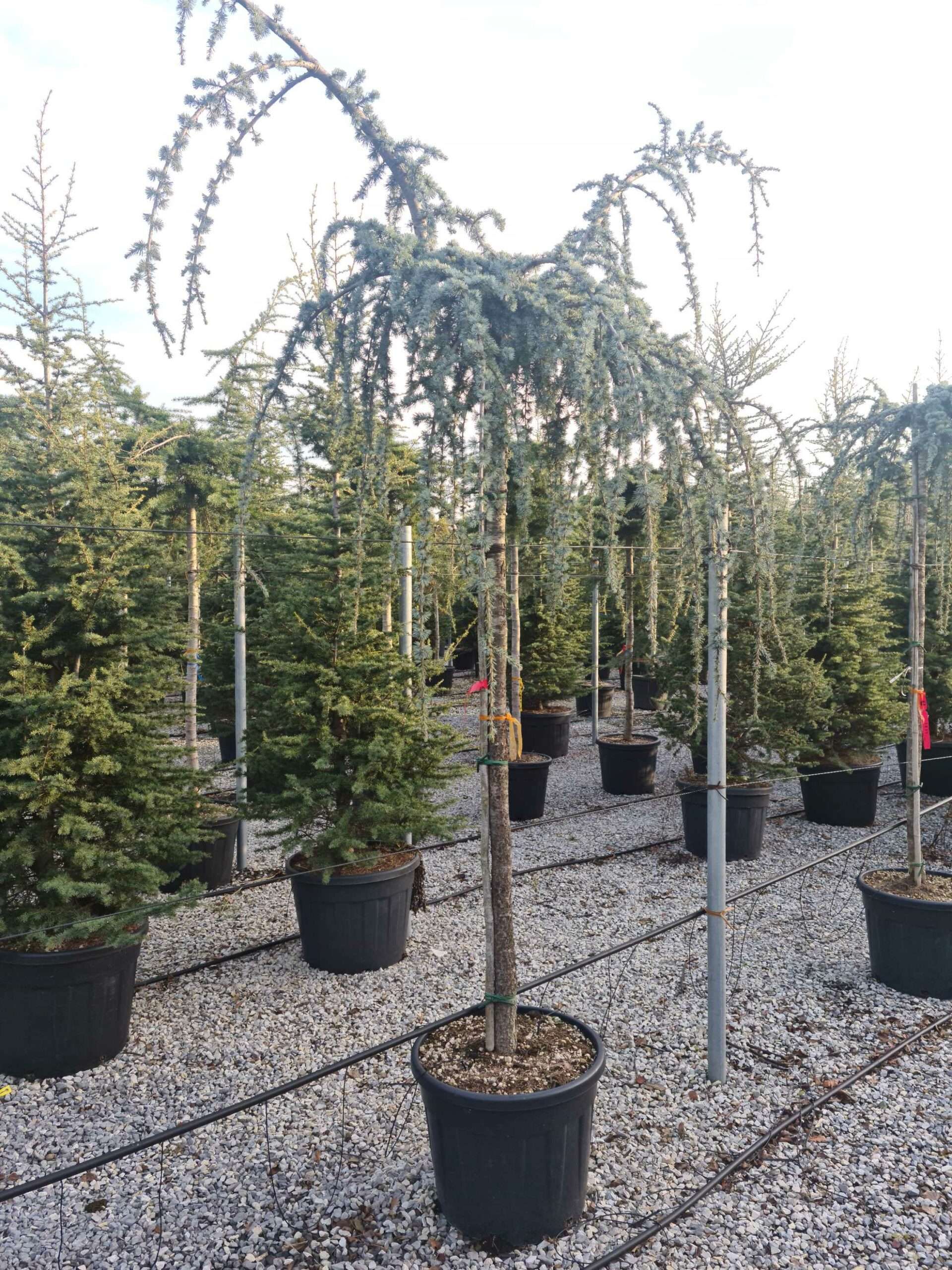 1639491536 scaled d6b292b4