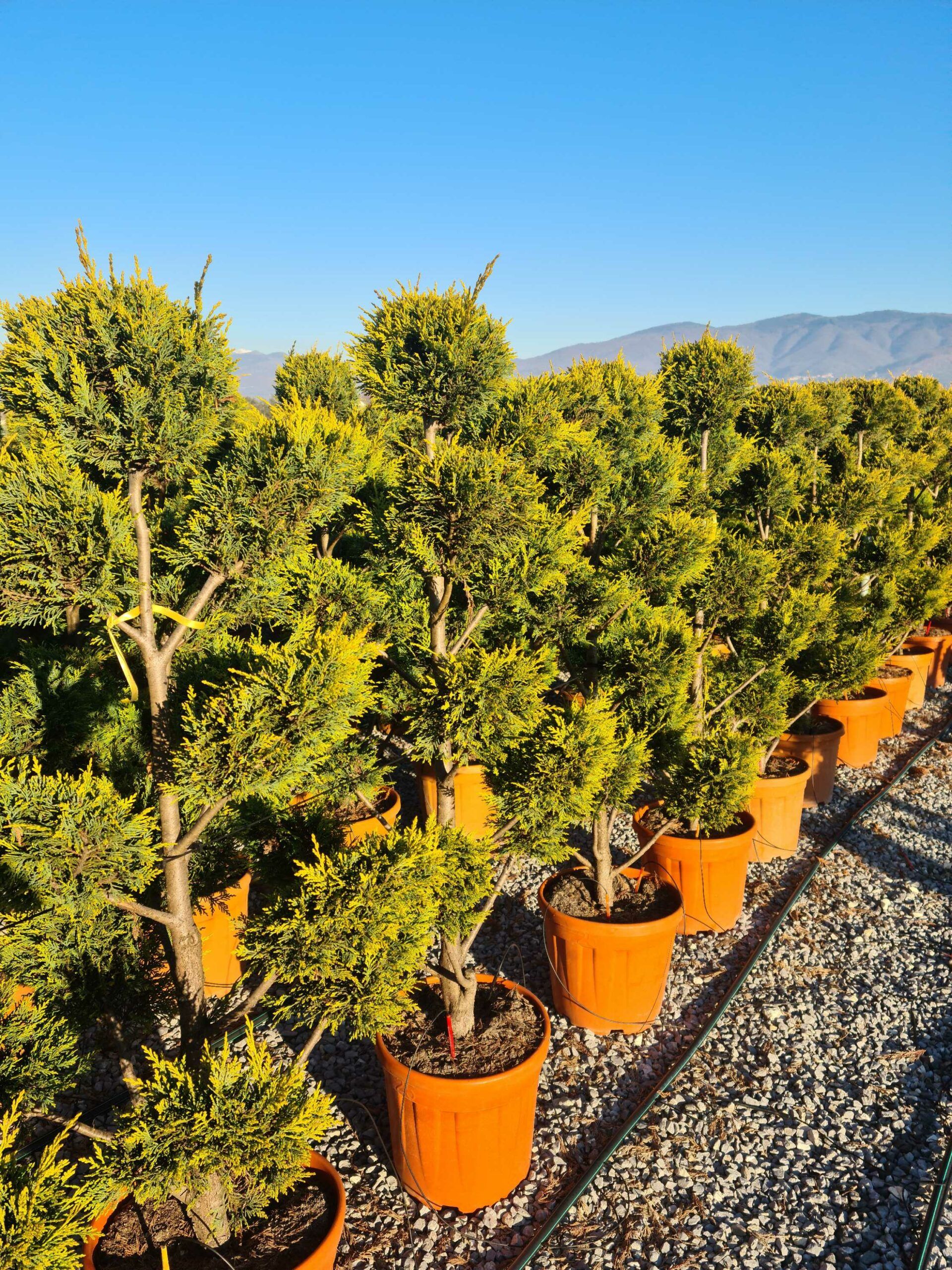 1639815712 scaled d646c771