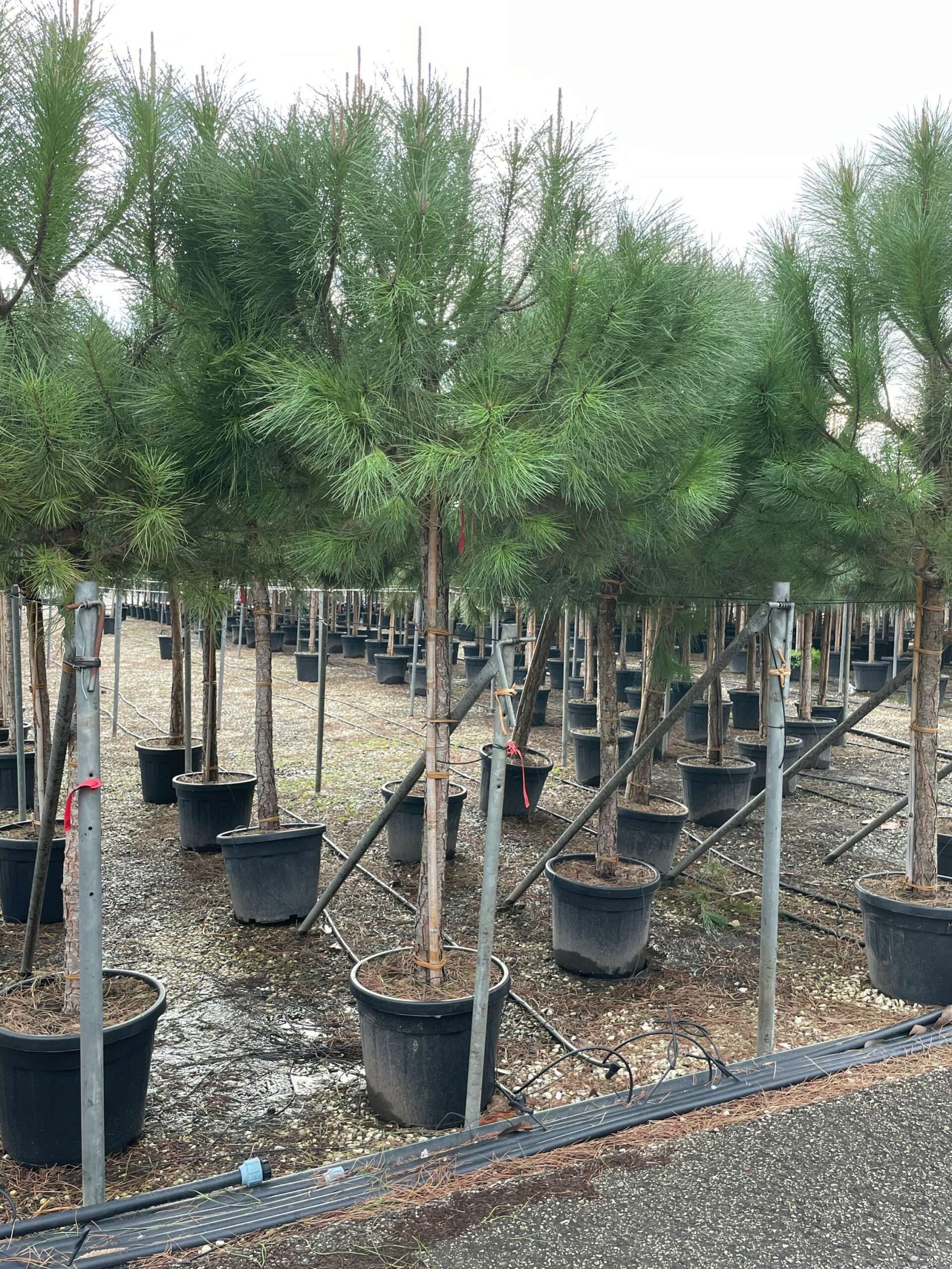 1642689801 scaled d6273a3d