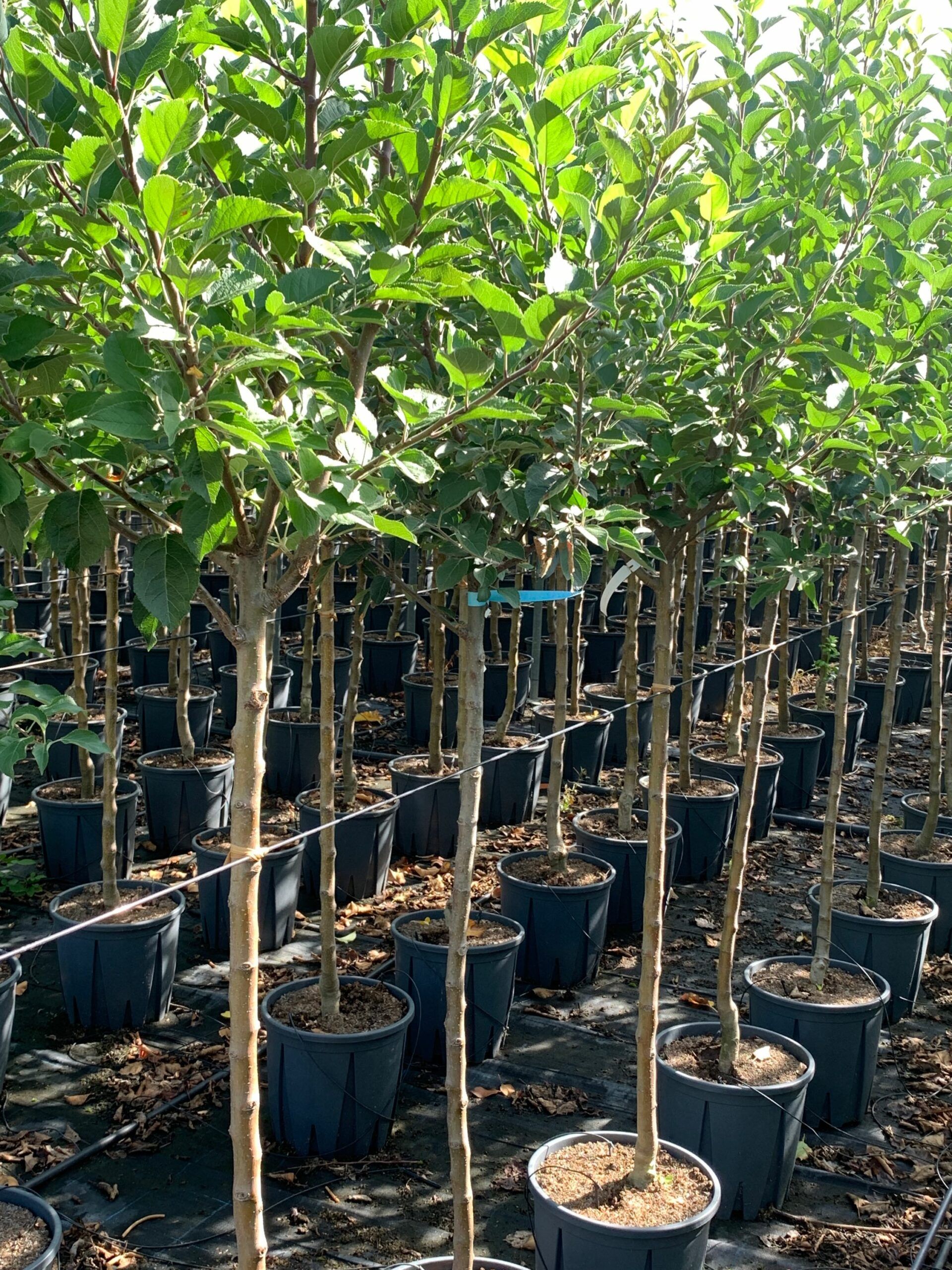 1662365334 scaled d6bef06b