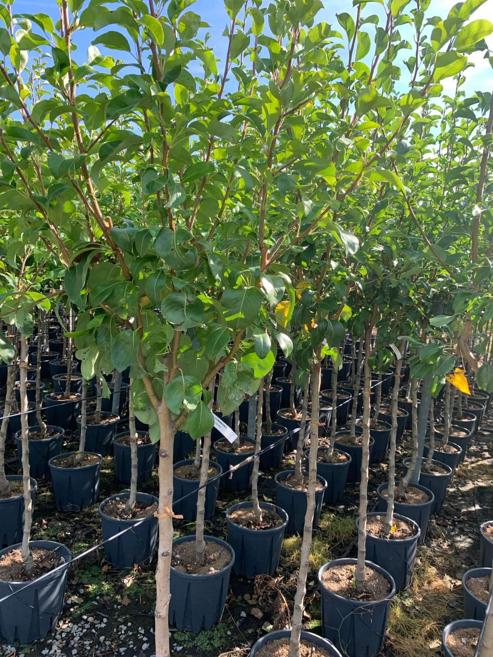 1662366211 scaled d69d727b