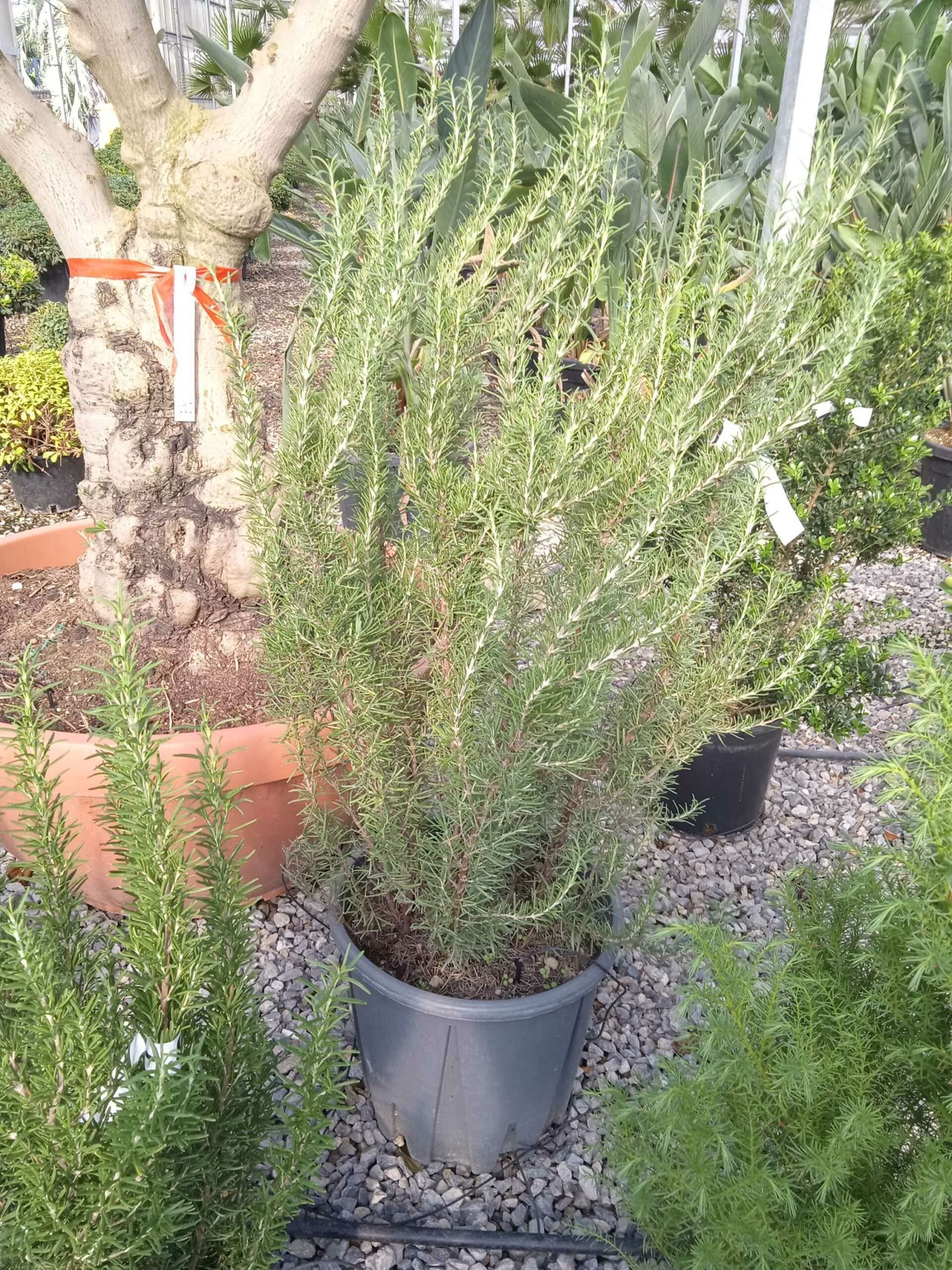 1662450077 scaled d6ee51f0