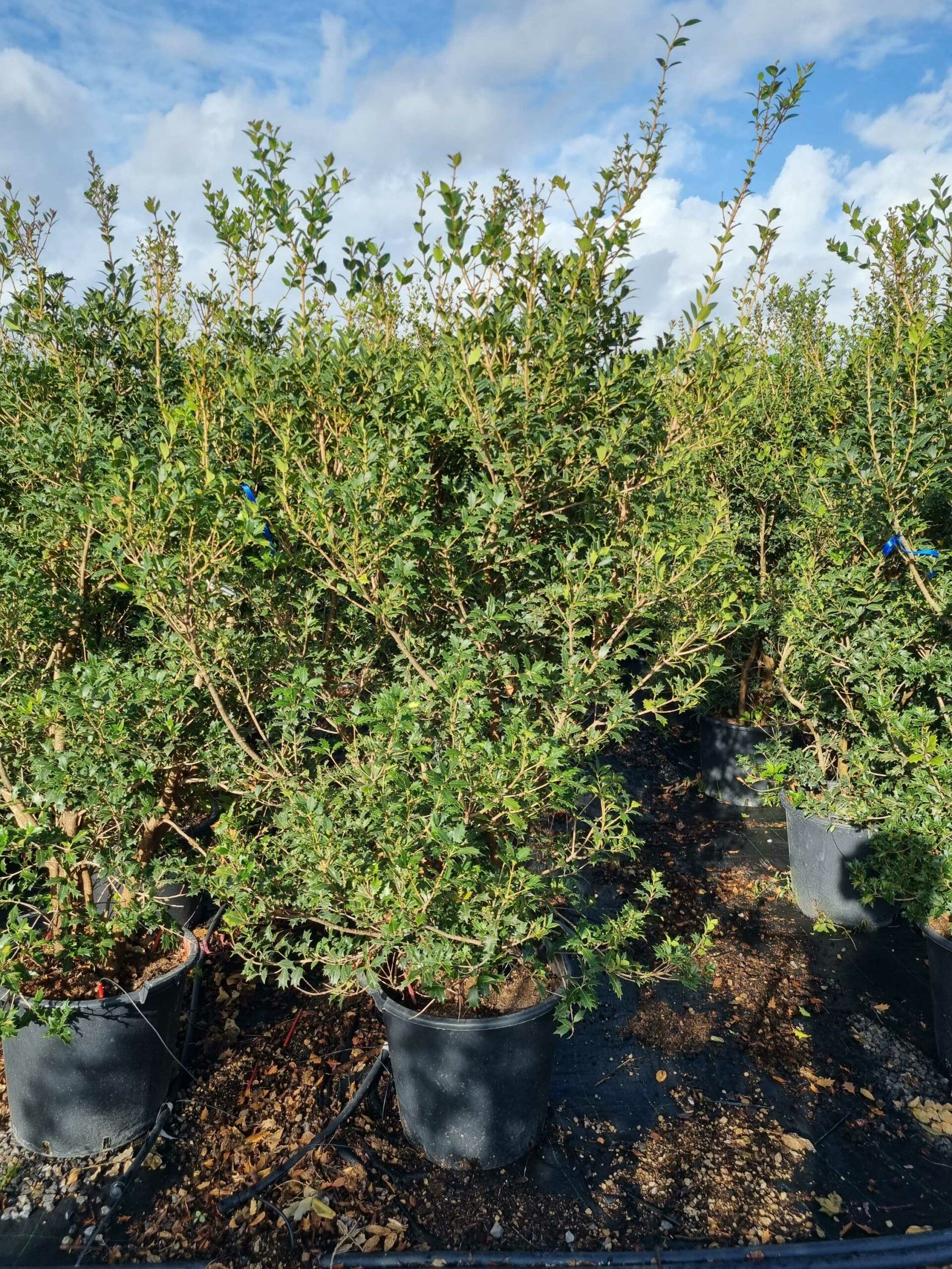 1664436724 scaled d6e42a13