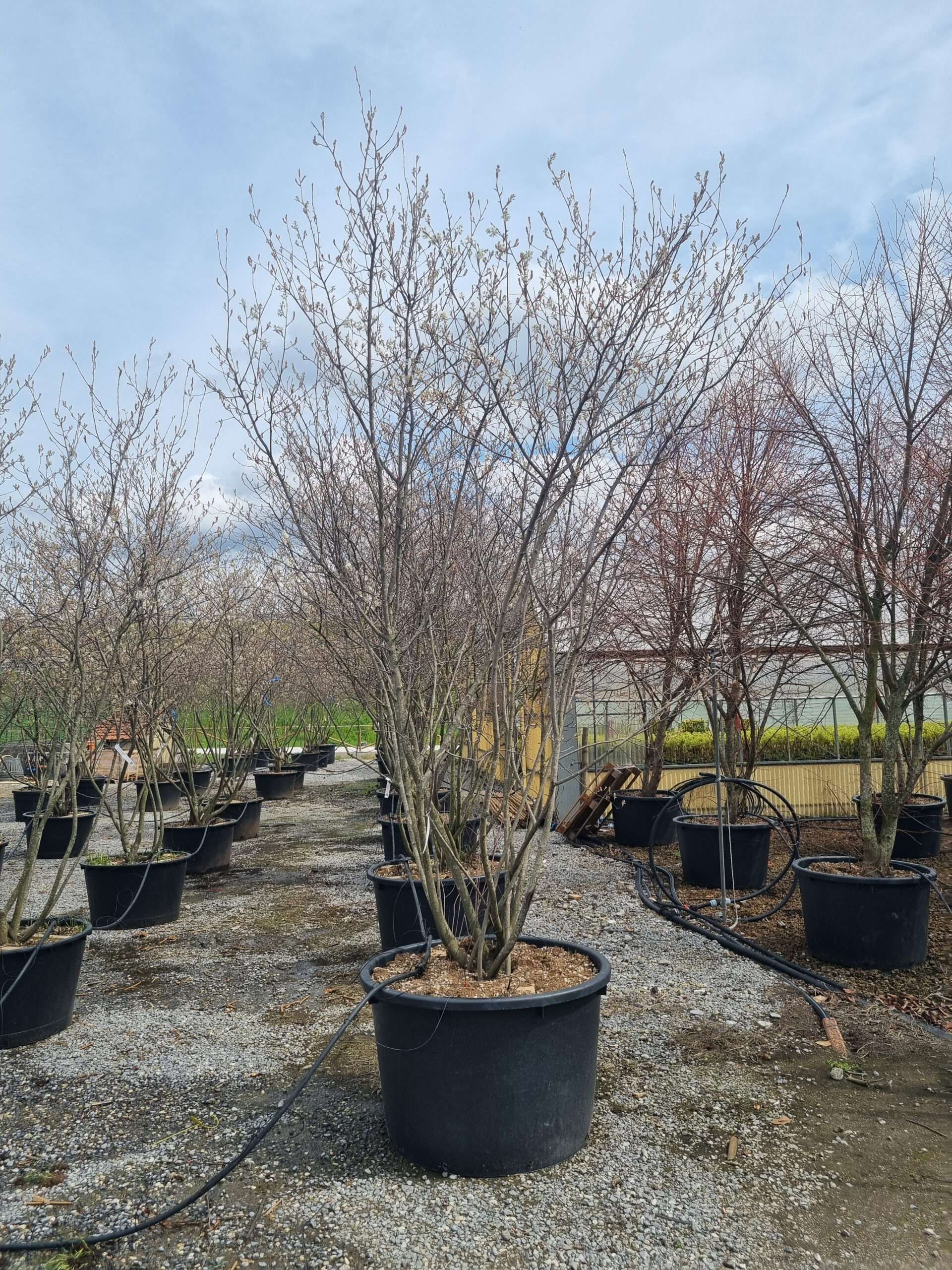 1680790260 scaled d6f64f54