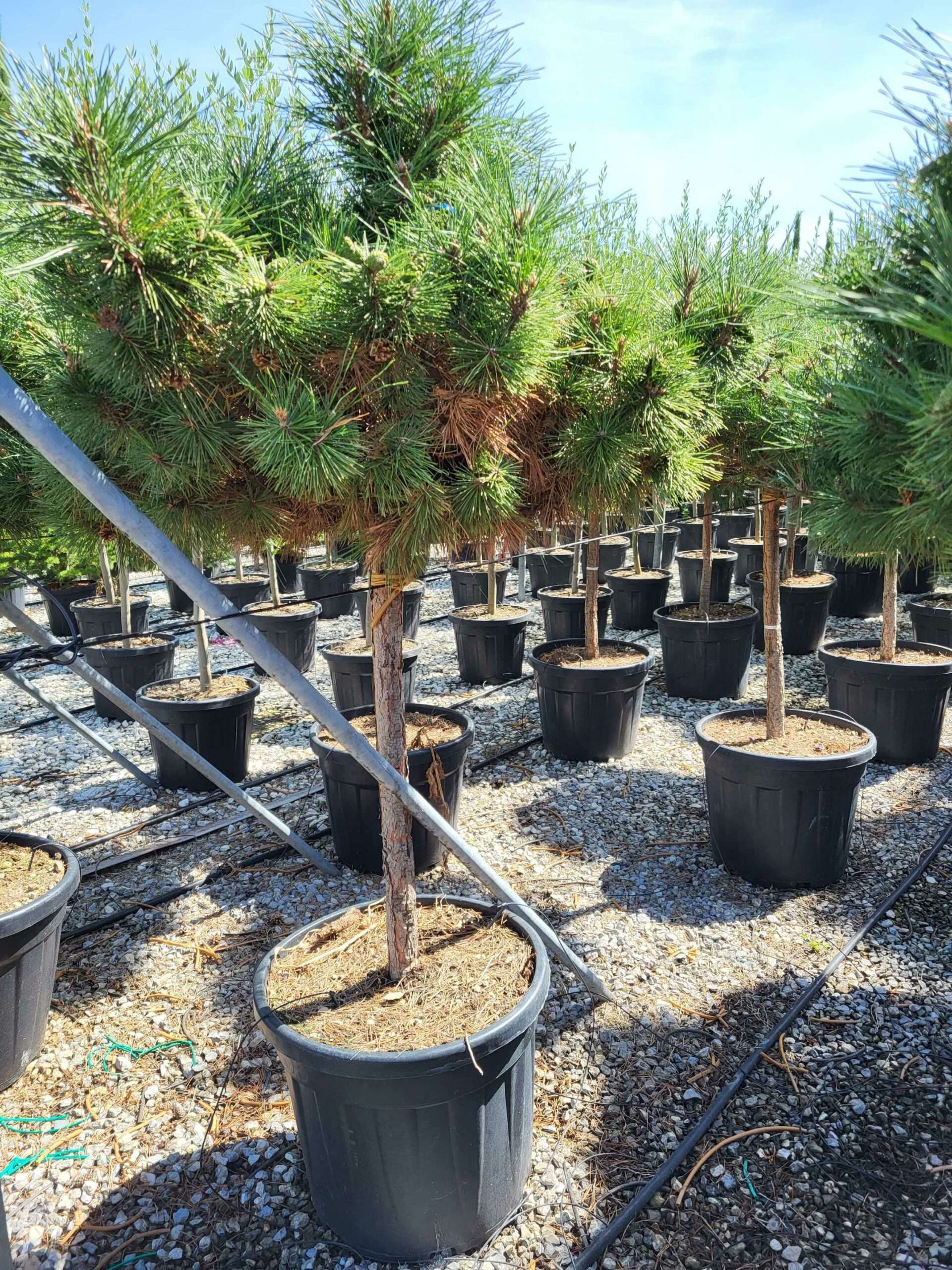 1691571586 scaled d60315ee