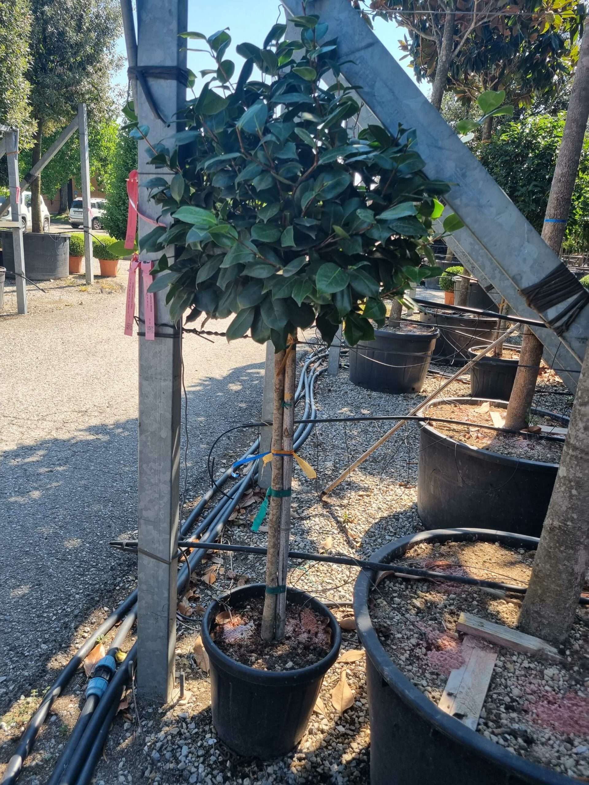 1692609456 scaled d6ce4836