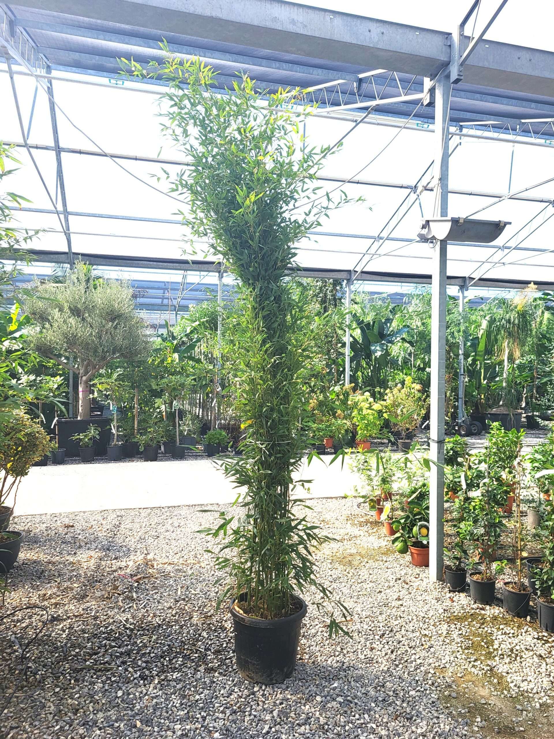 1696326906 scaled d6e4cbbd