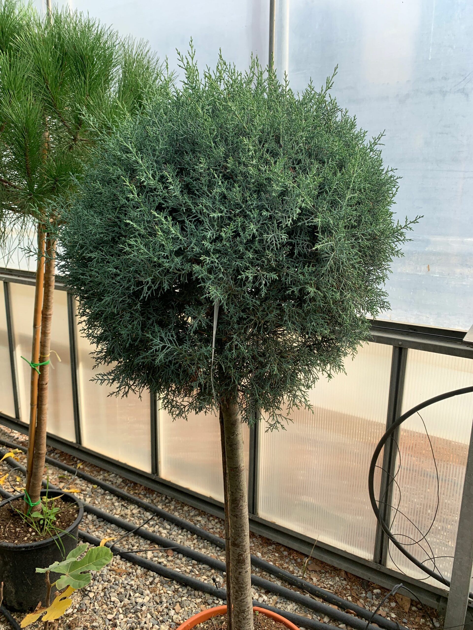 1636362983 scaled d7bbb680