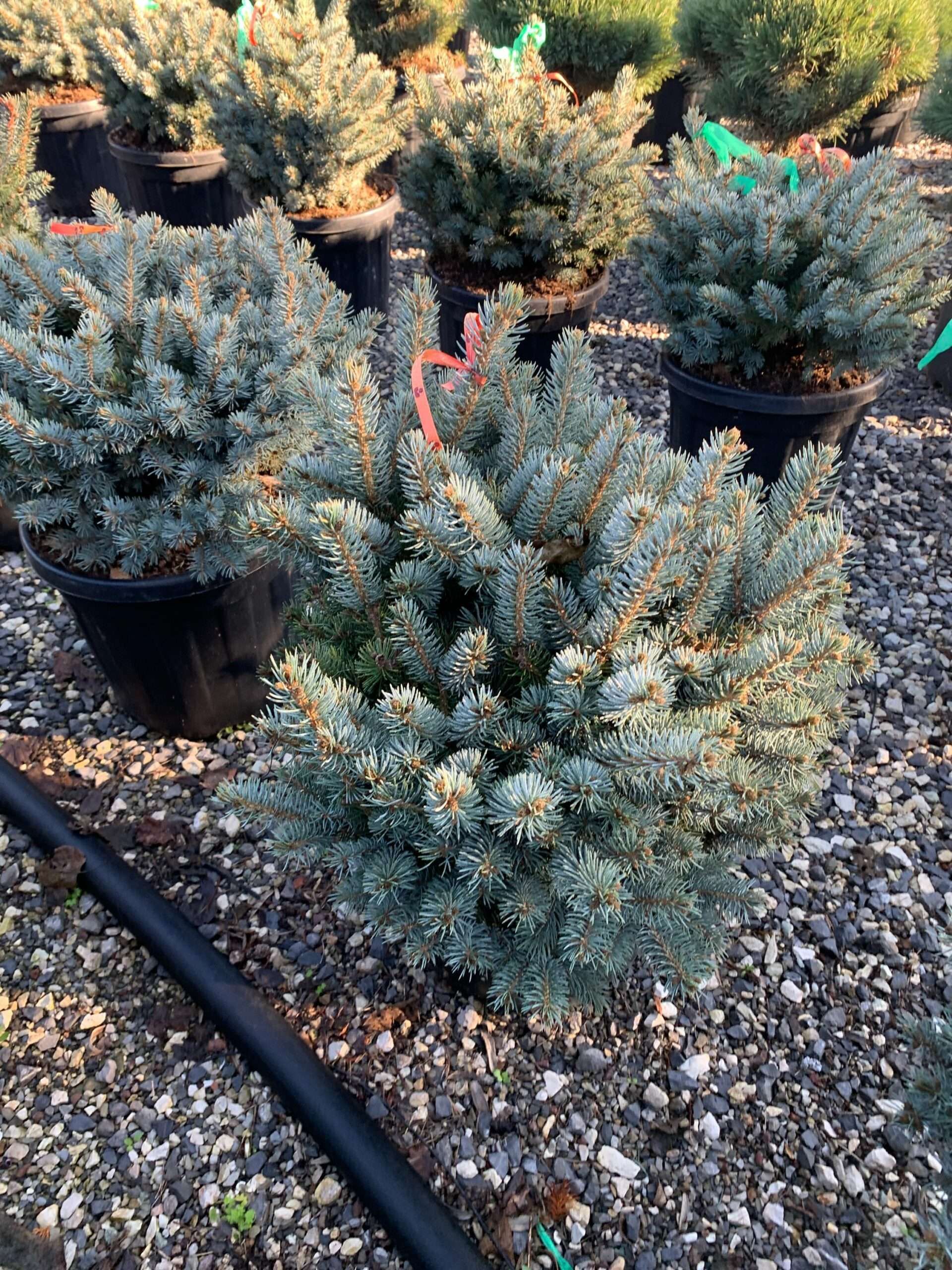 1637312372 scaled d770aa08