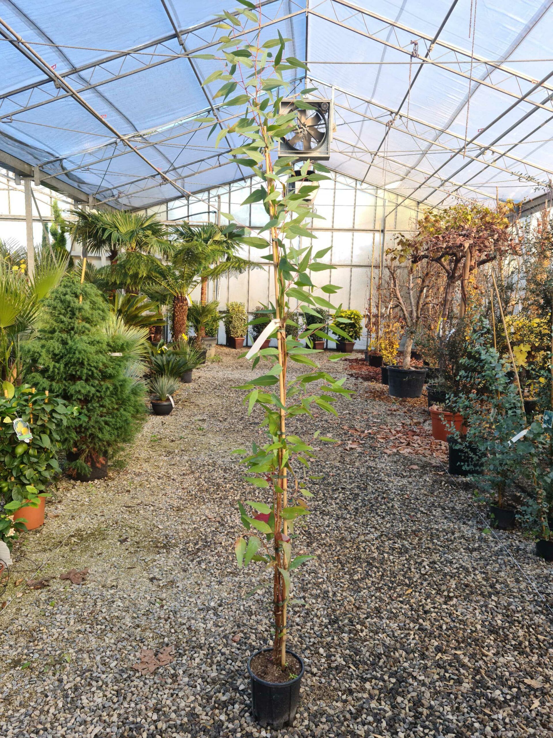 1639472066 scaled d7b1d5bd