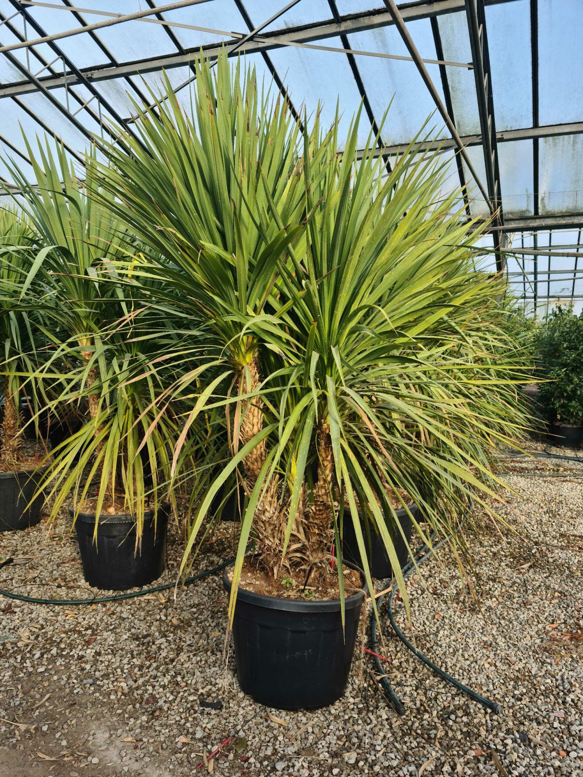 1642755324 scaled d723e6bb