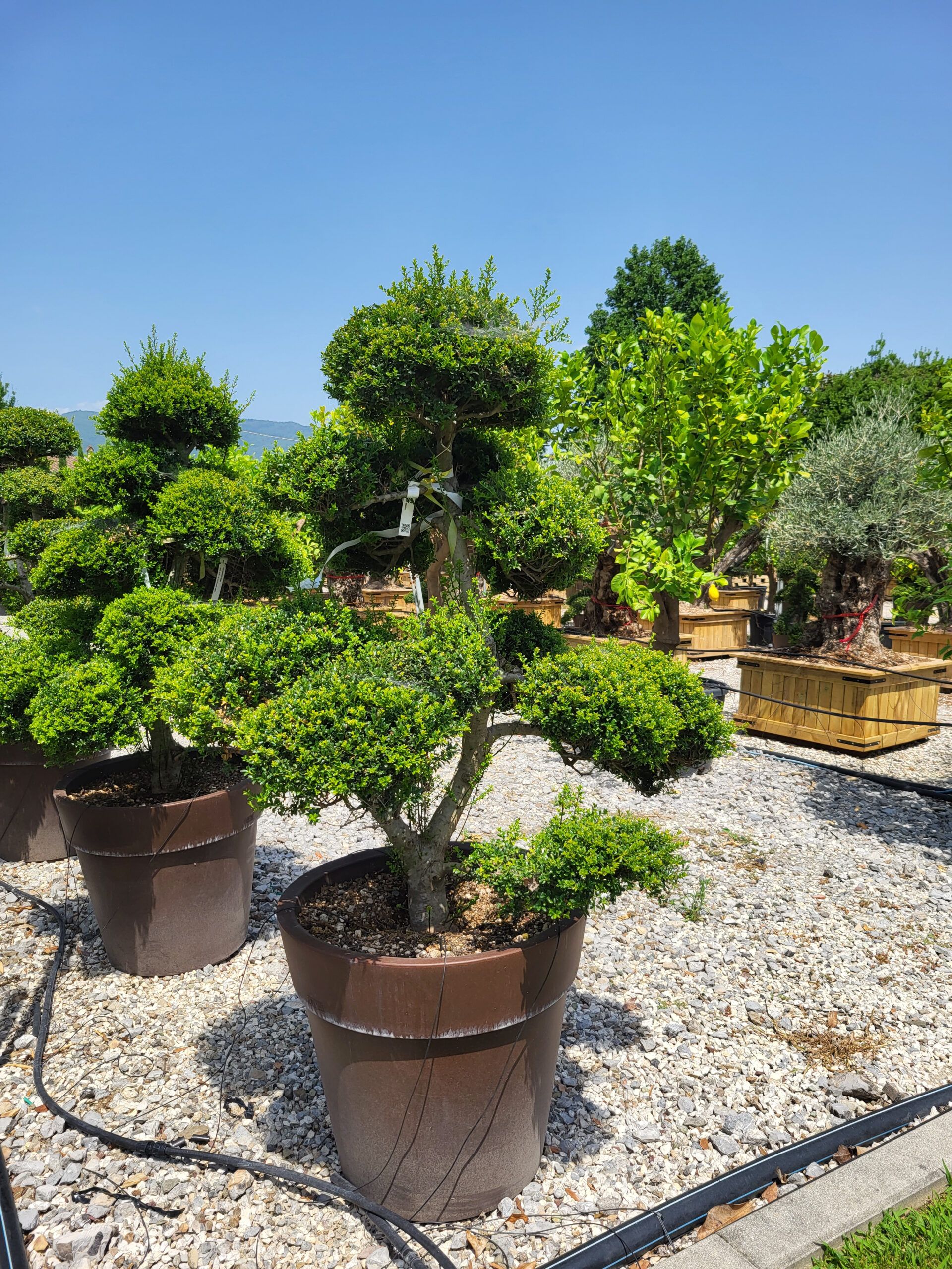 1689166090 scaled d7edafe1