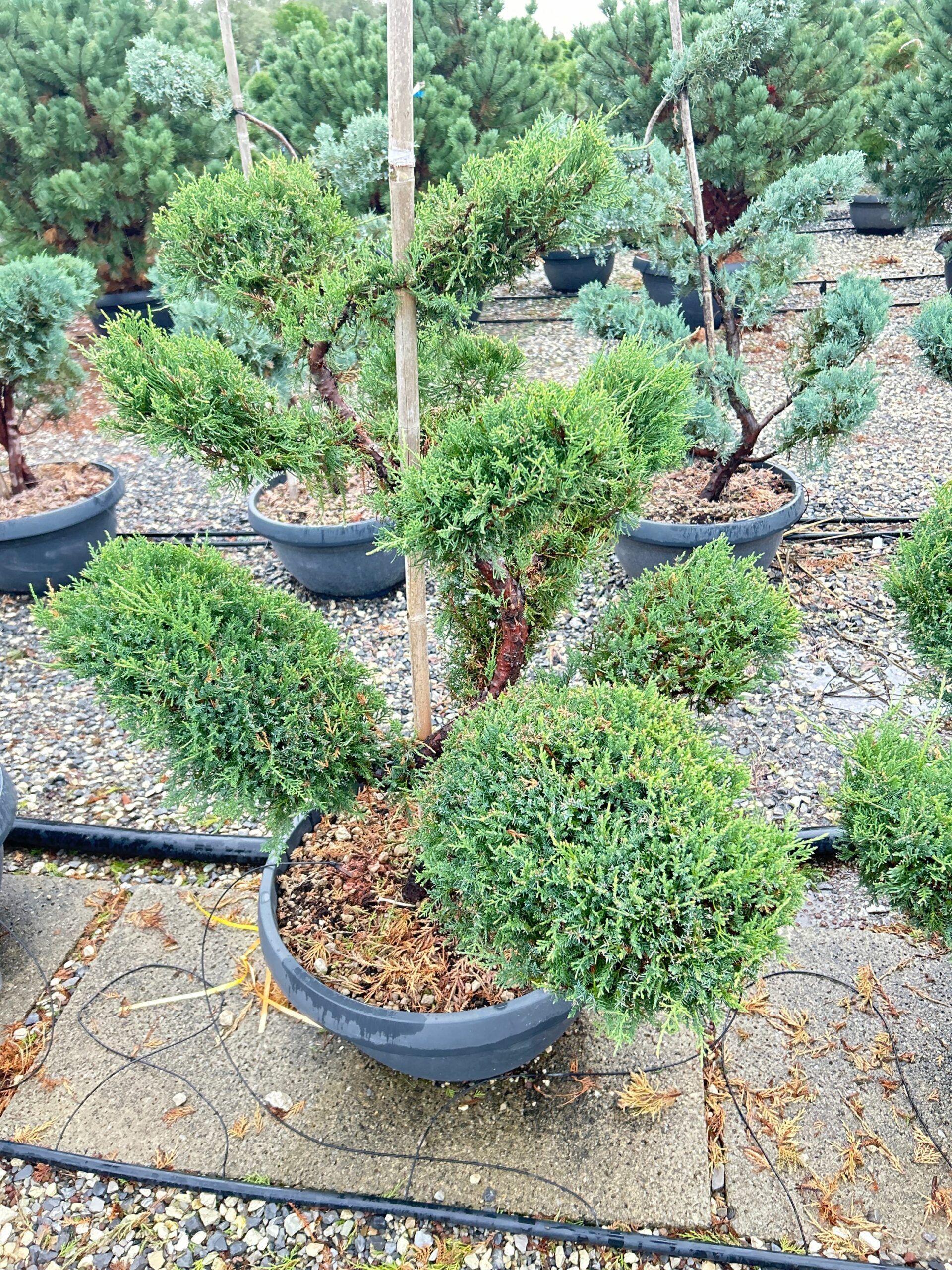 1698159225 scaled d7ef8c86