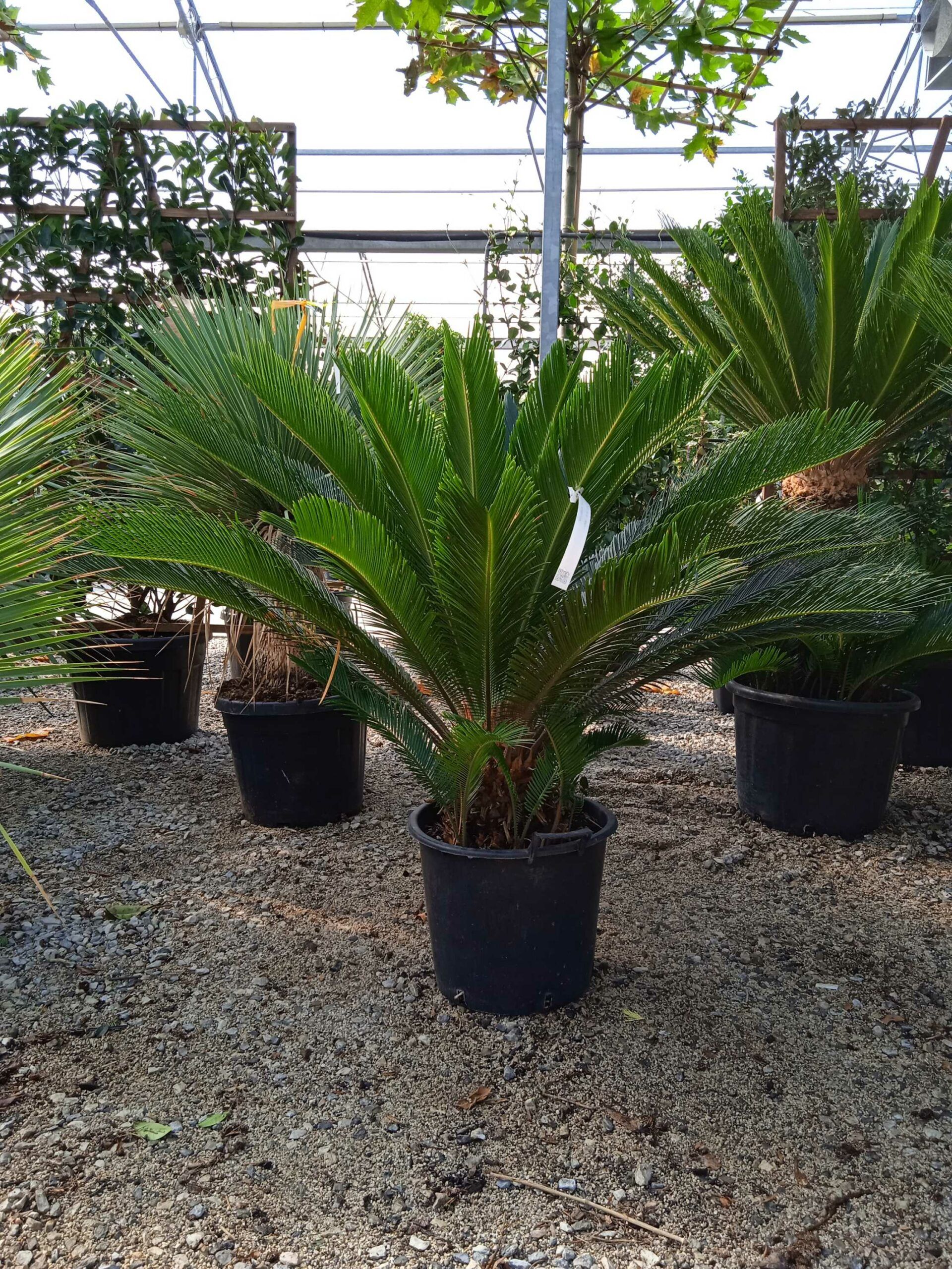 1632487525 scaled d858f5fd