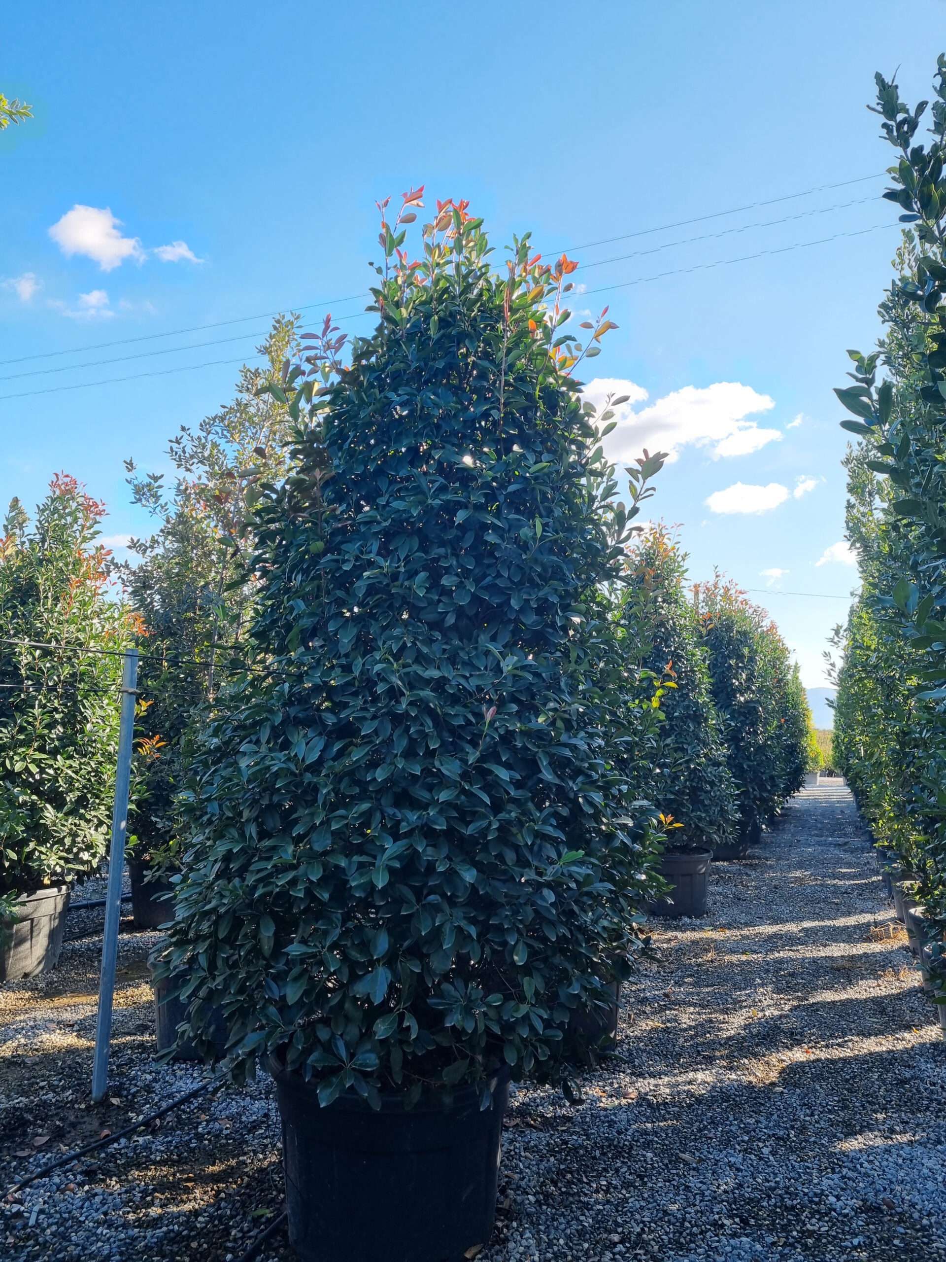 1633962488 scaled d884455a