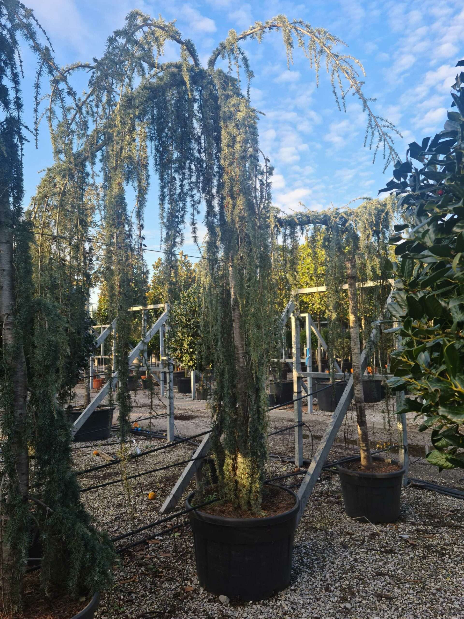 1639405589 scaled d83744cf