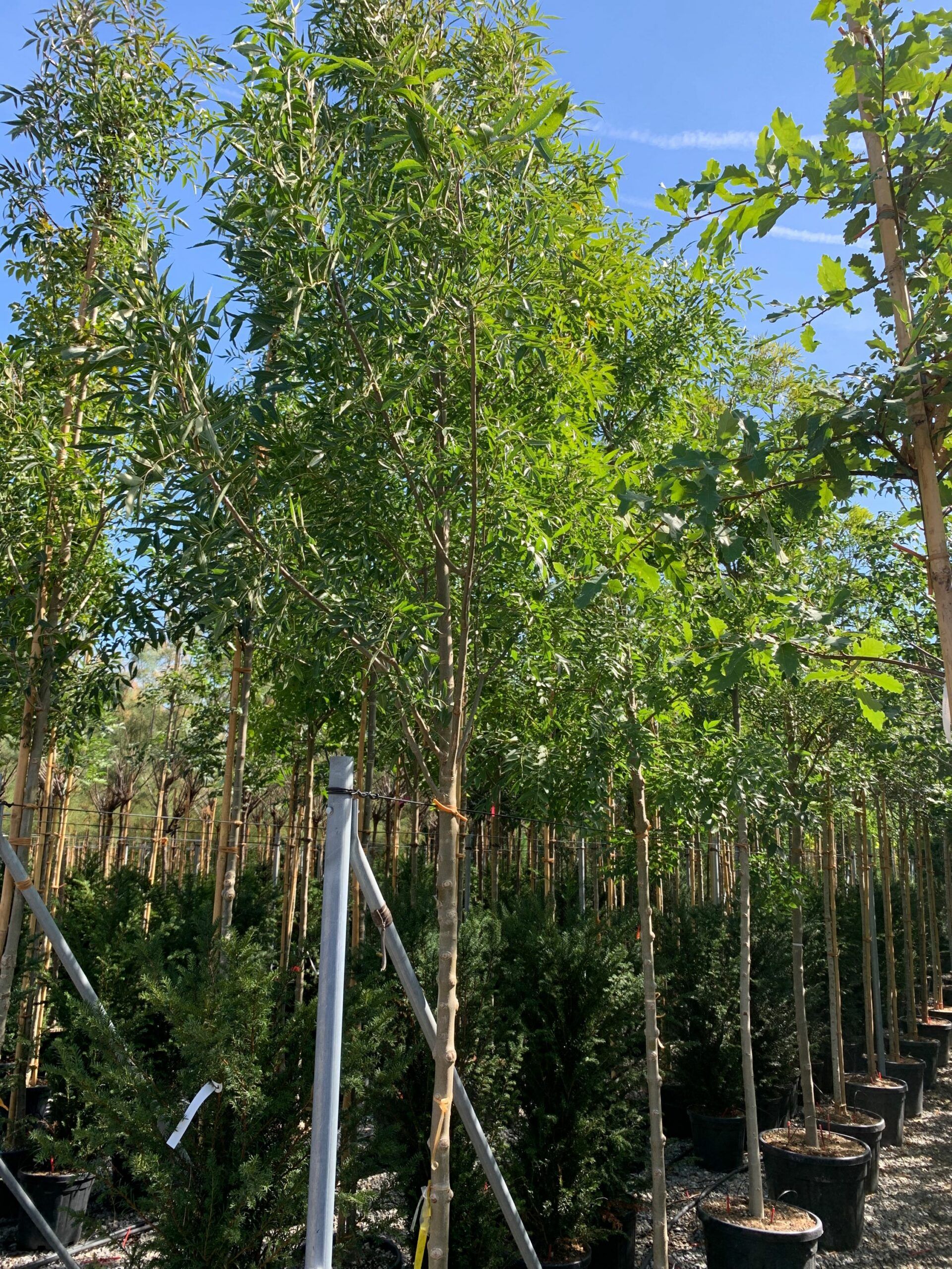 1662455354 scaled d86a03c5