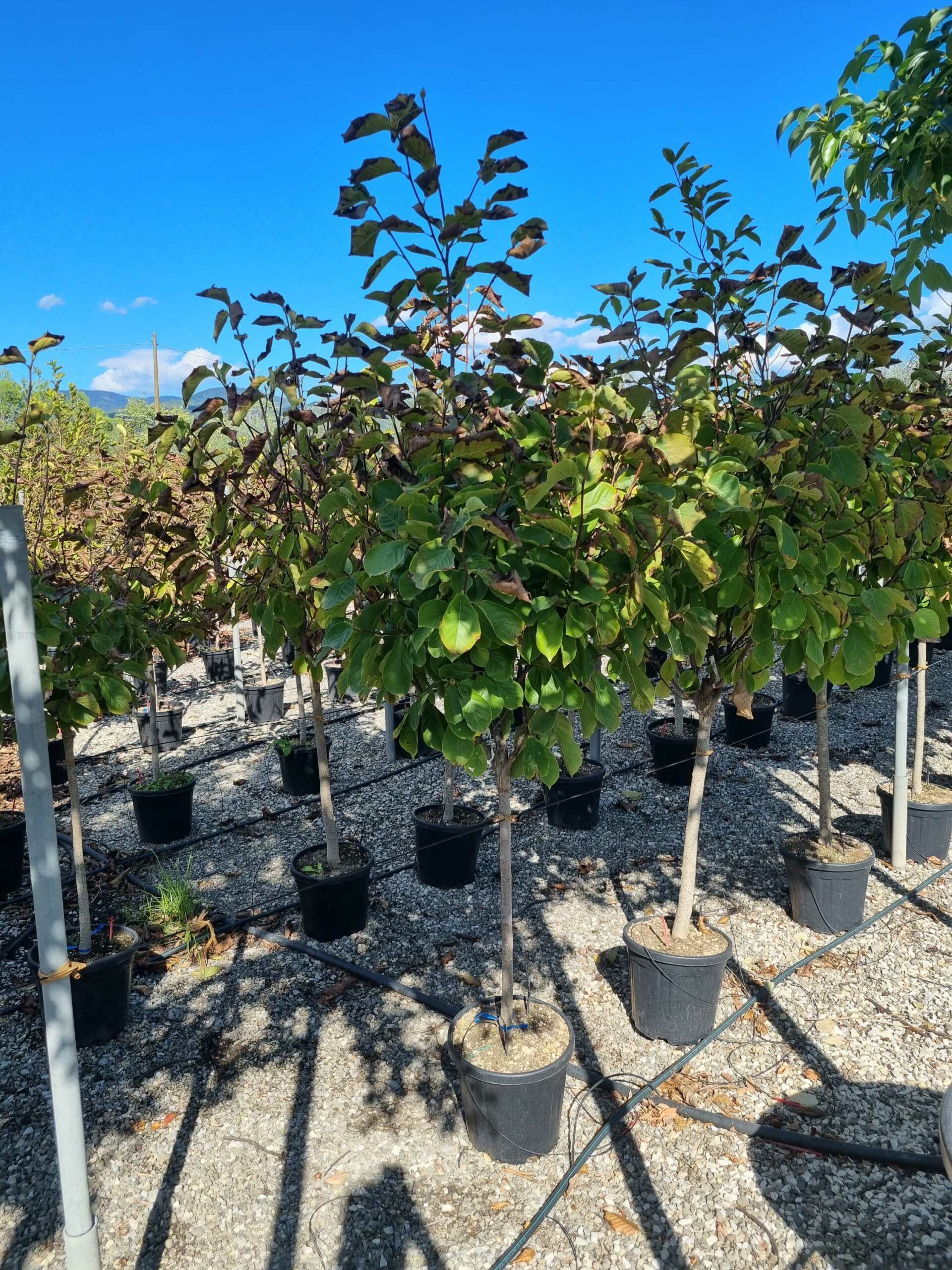 1663680384 scaled d82d7183