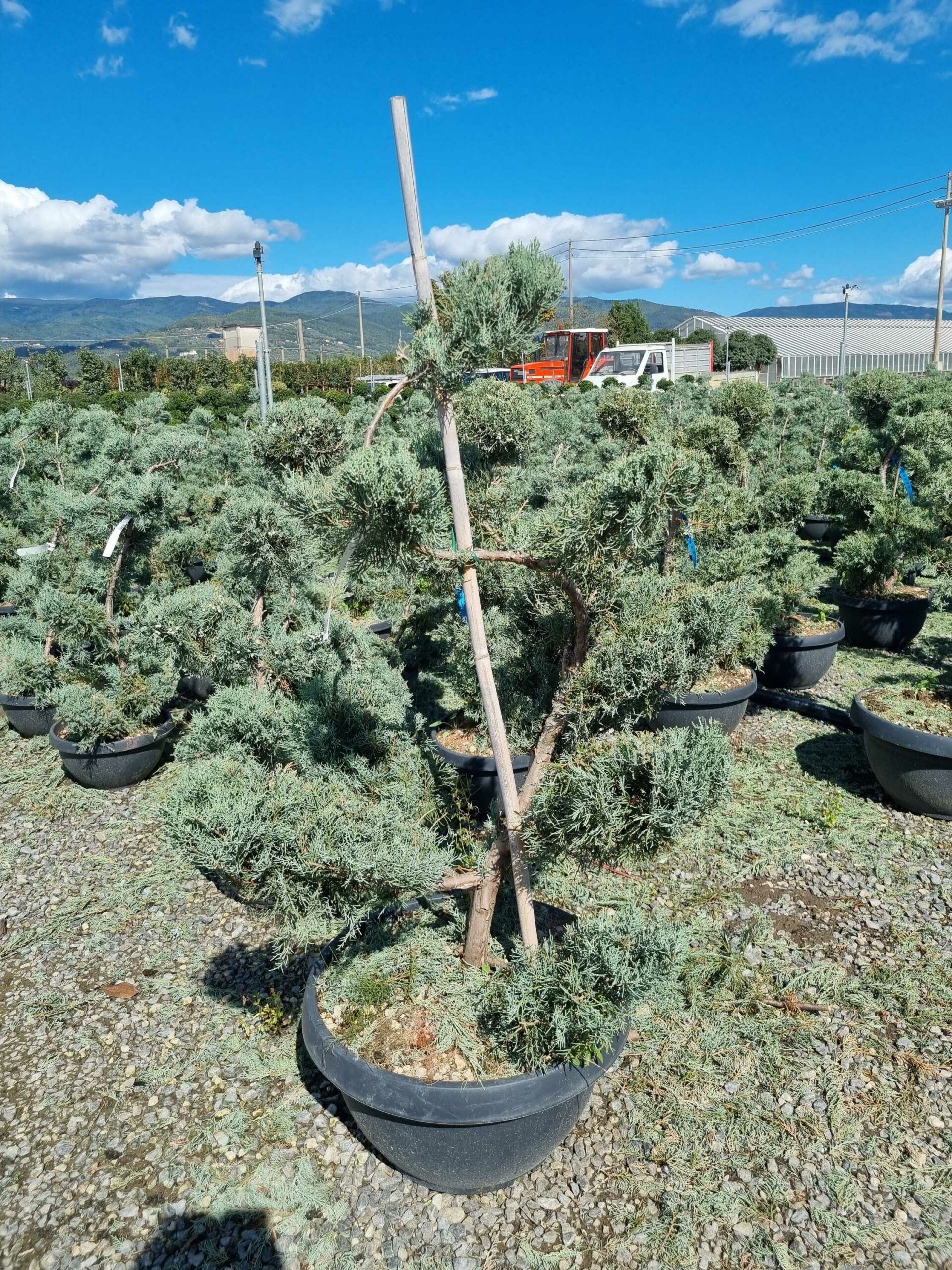 1663763336 scaled d8d1e5de