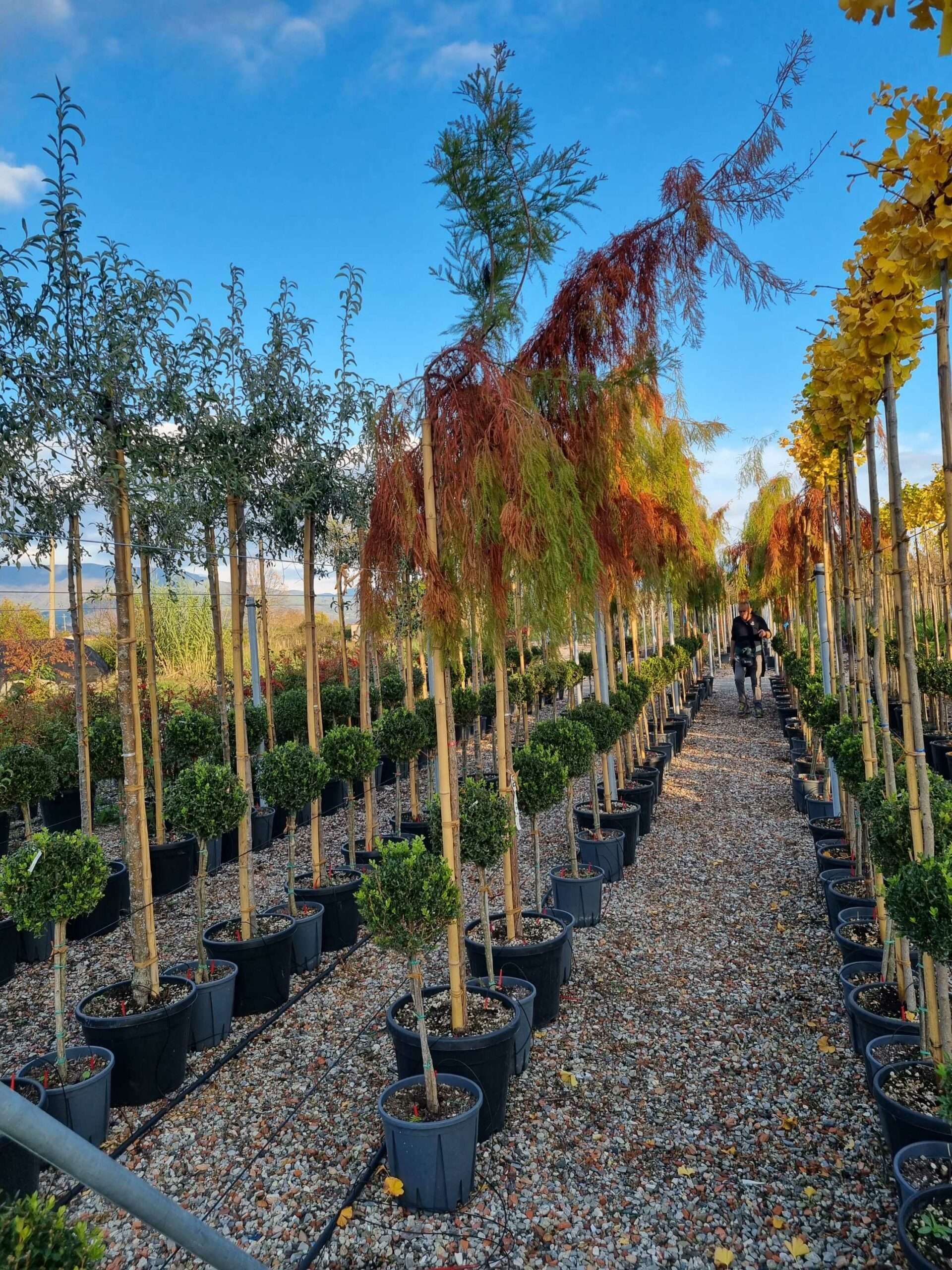 1668436840 scaled d8a56dbb