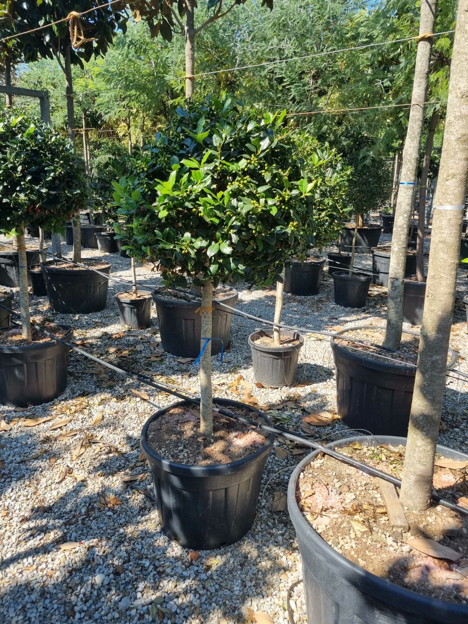 1692608493 scaled d853222b