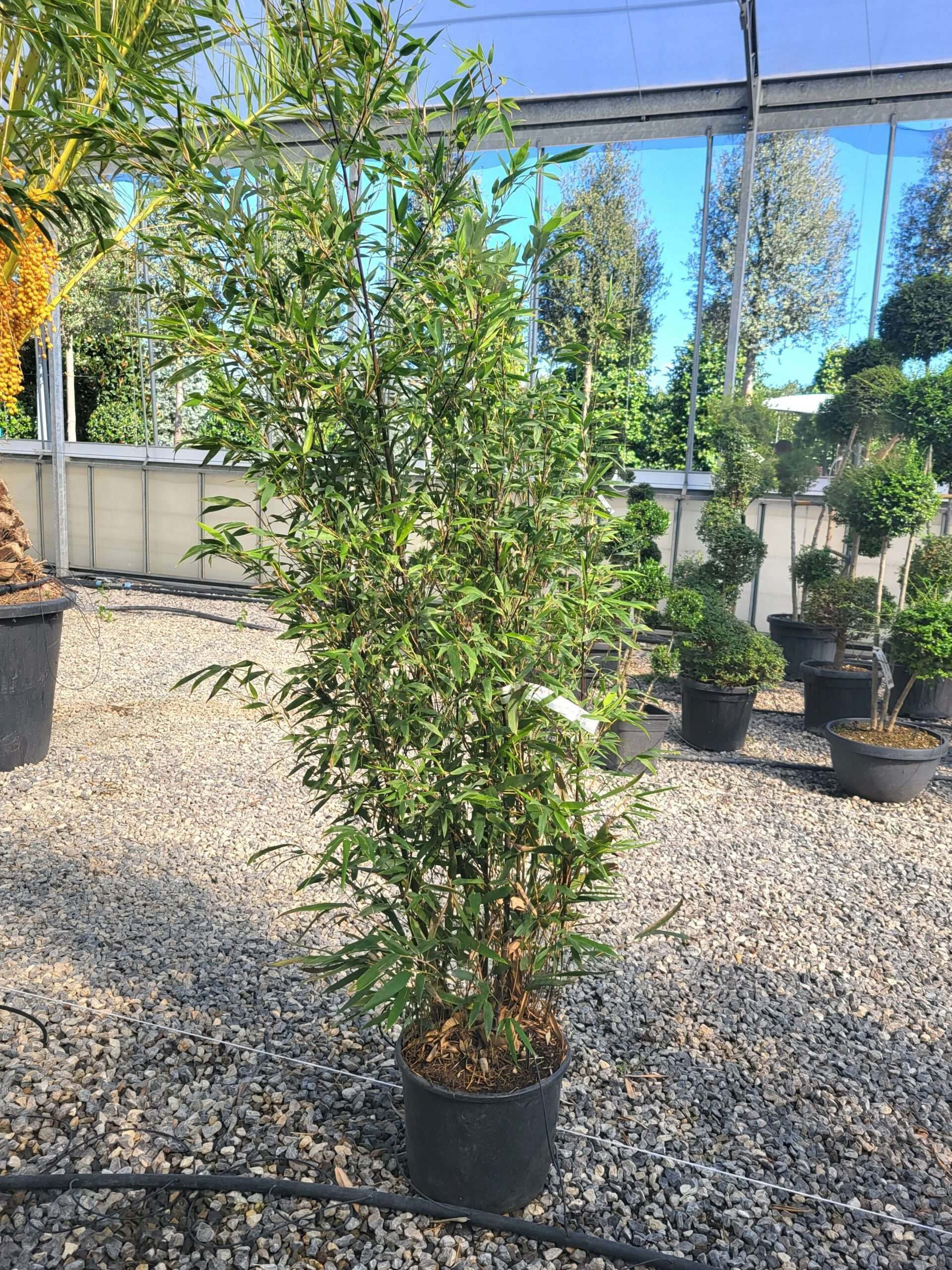 1696326946 scaled d829ffc1