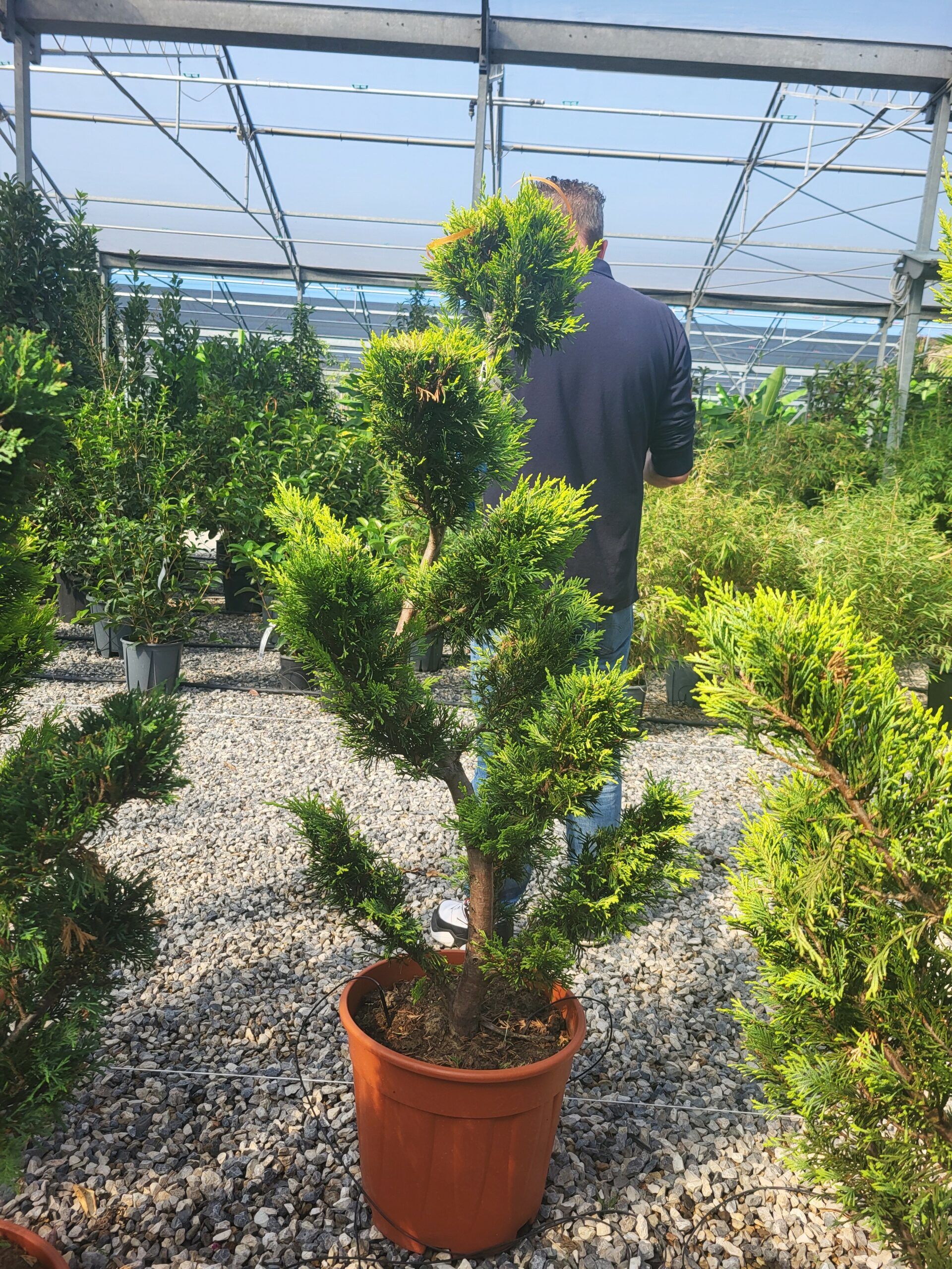 1696327055 scaled d8957f68