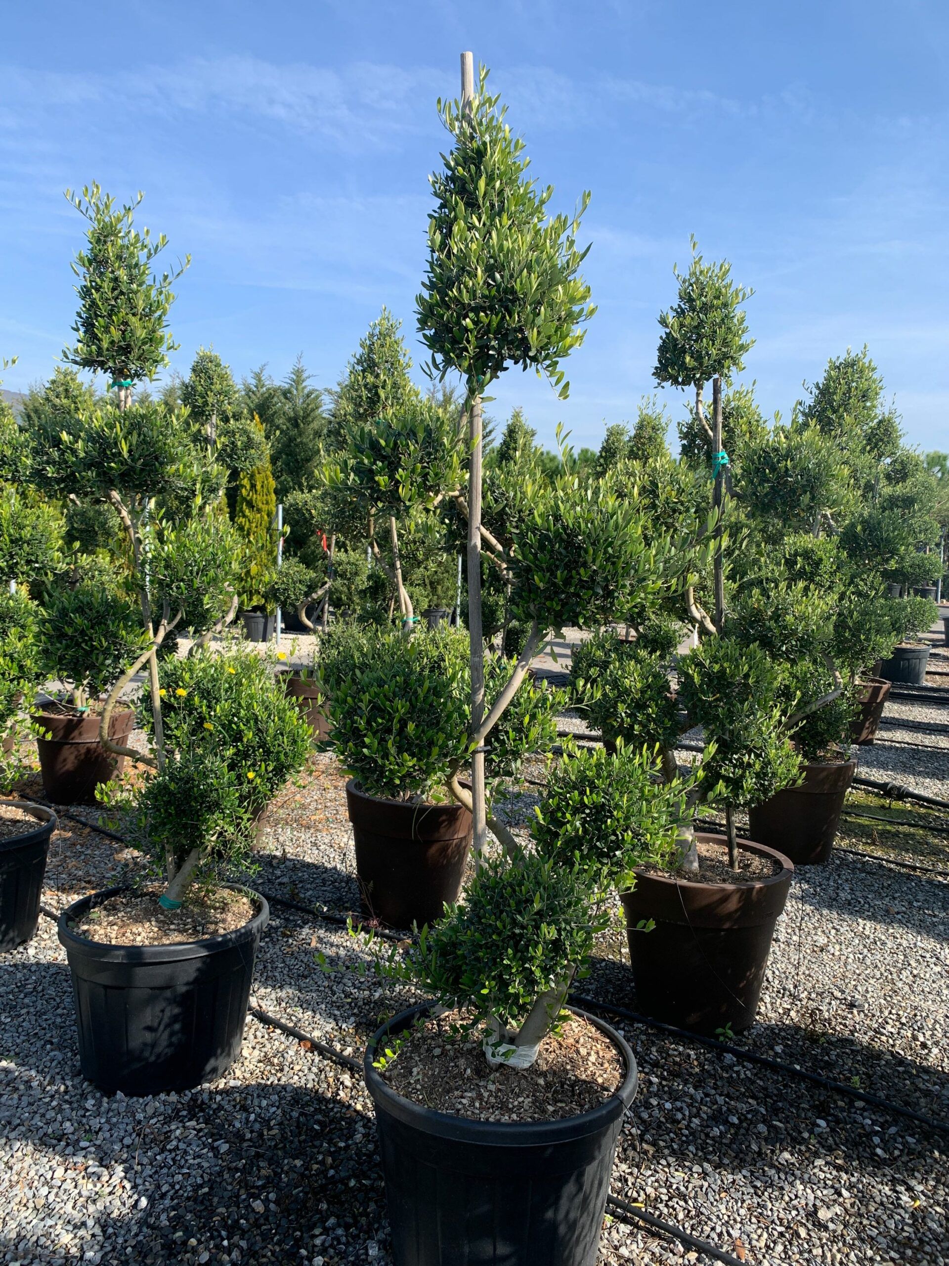 1635503264 scaled d996de35