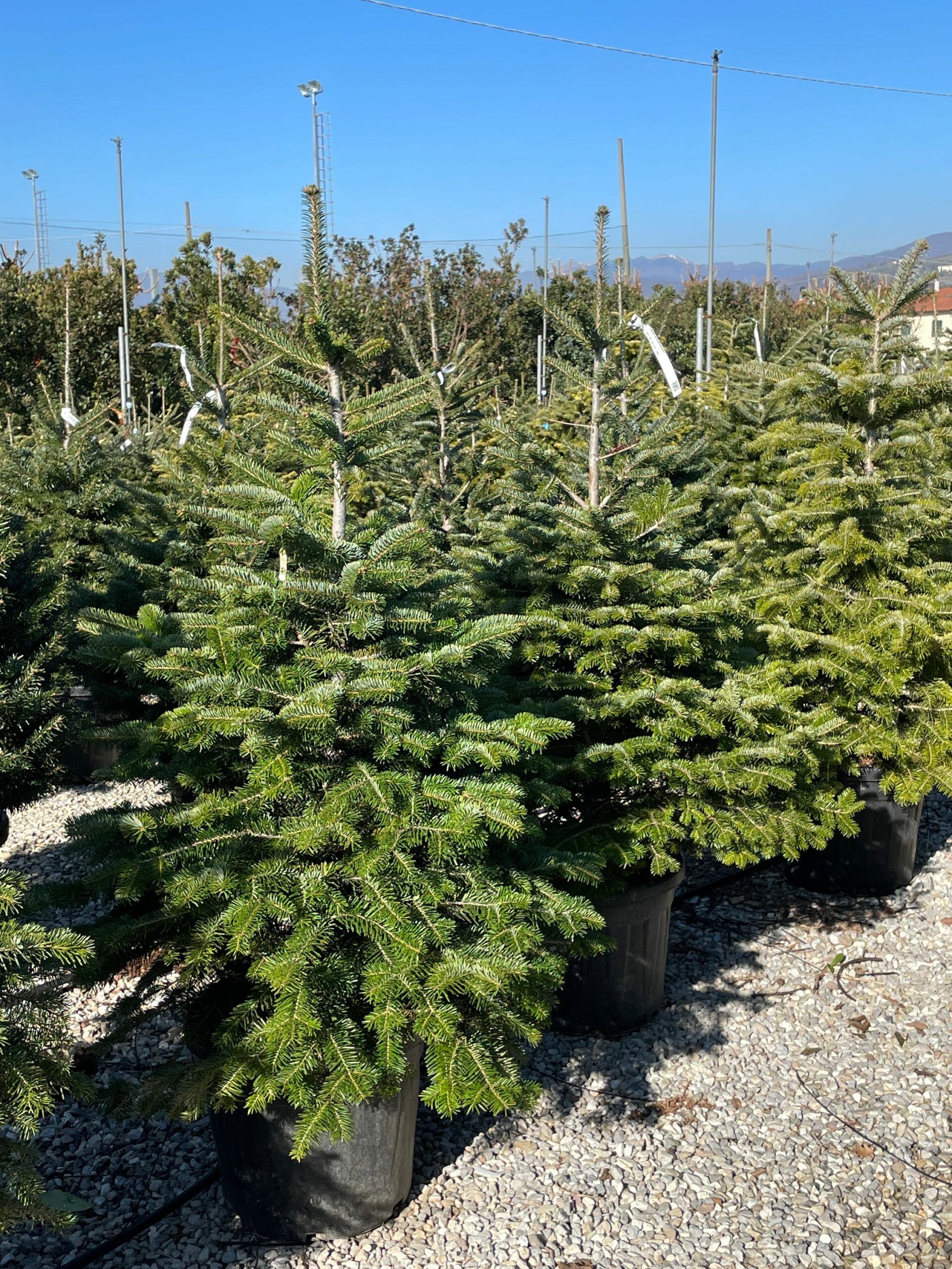 1643108154 scaled d9a1ac3d