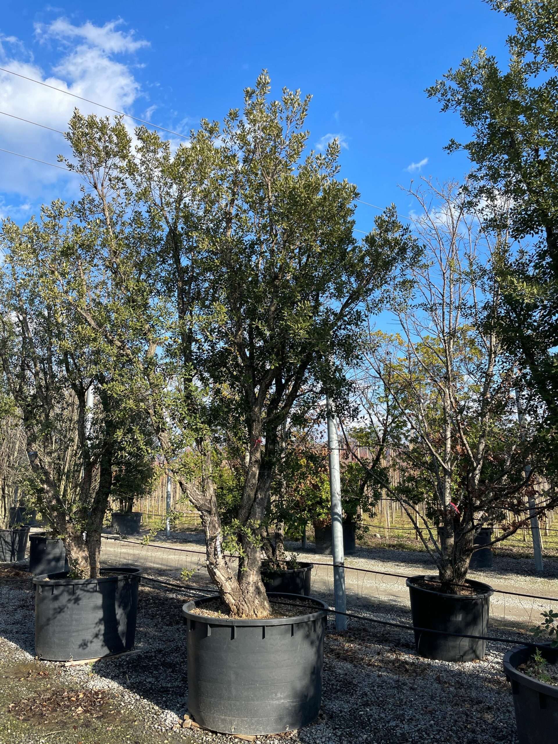 1644241008 scaled d9bea6fd