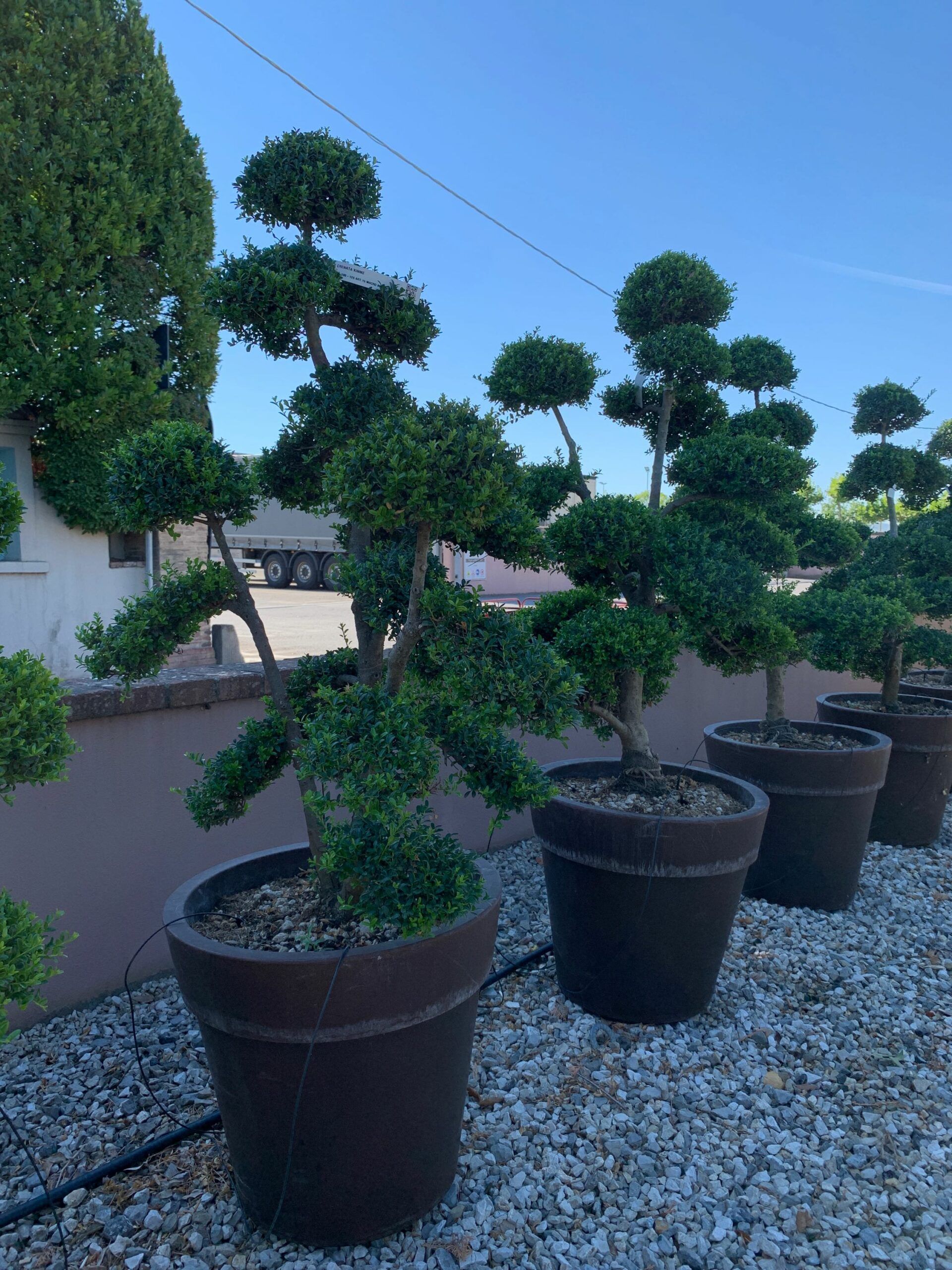 1659598923 scaled d9ad9c50