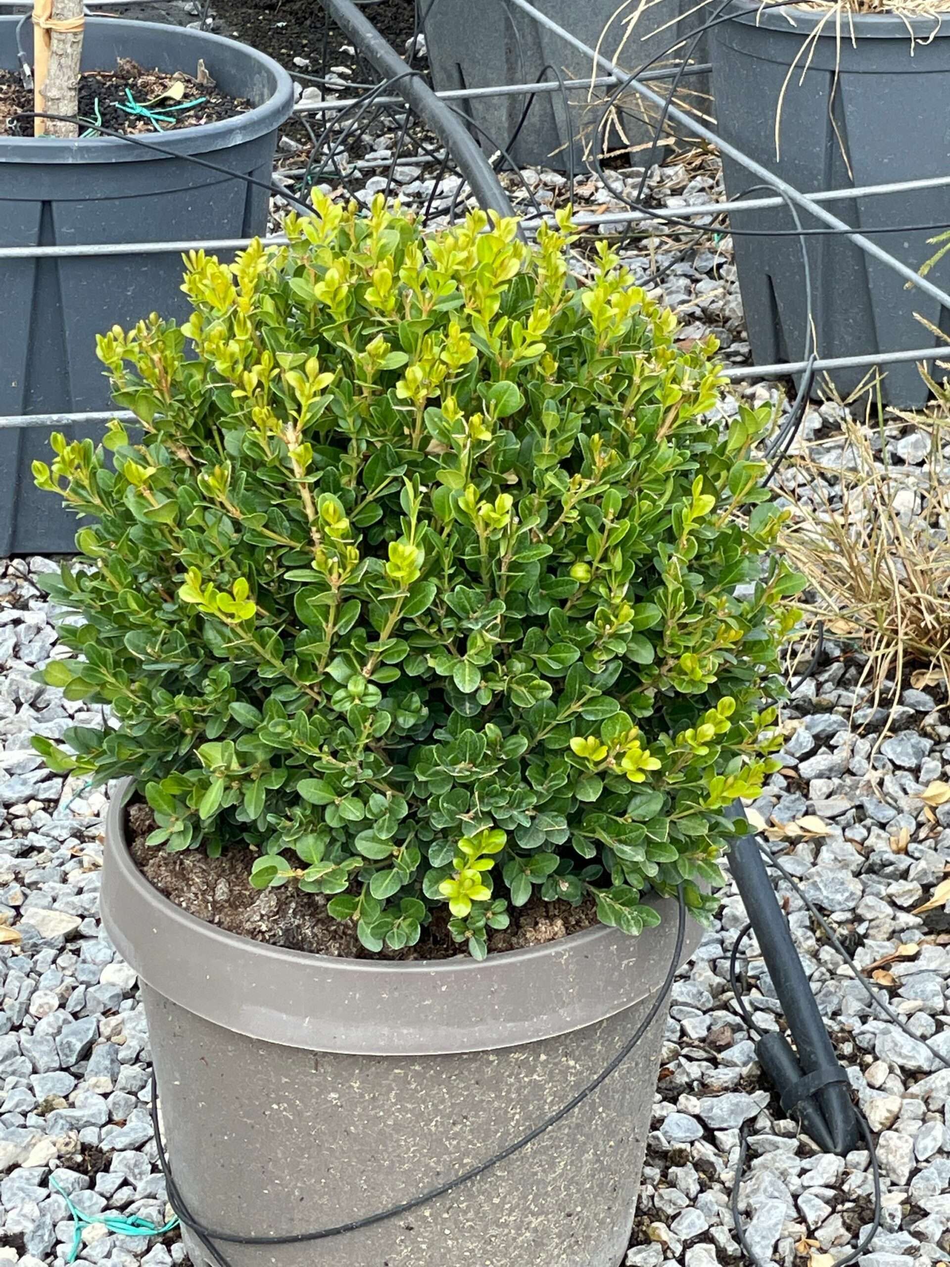 1661951014 scaled d985e8cf