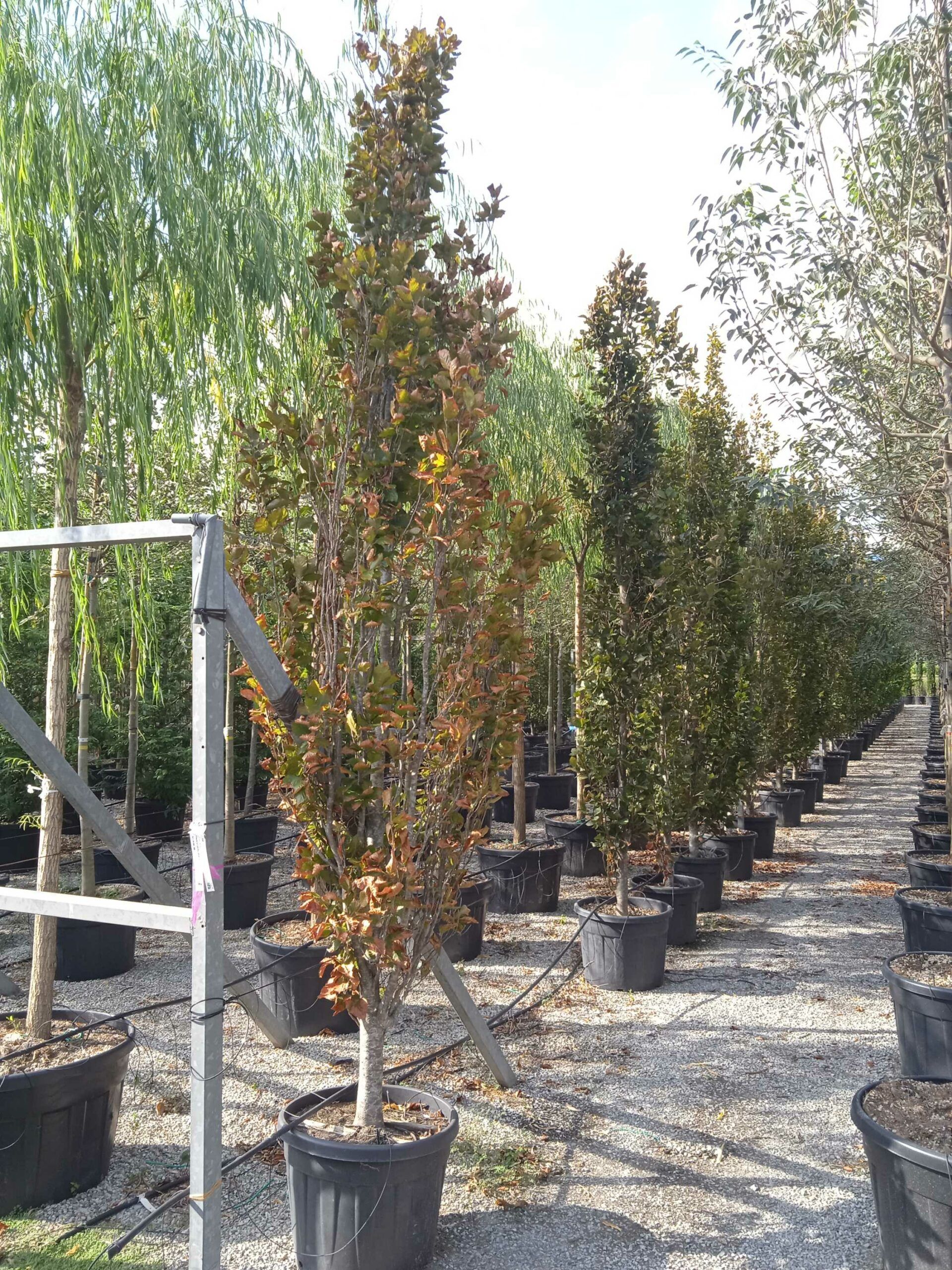 1662130260 scaled d9ef7b1e