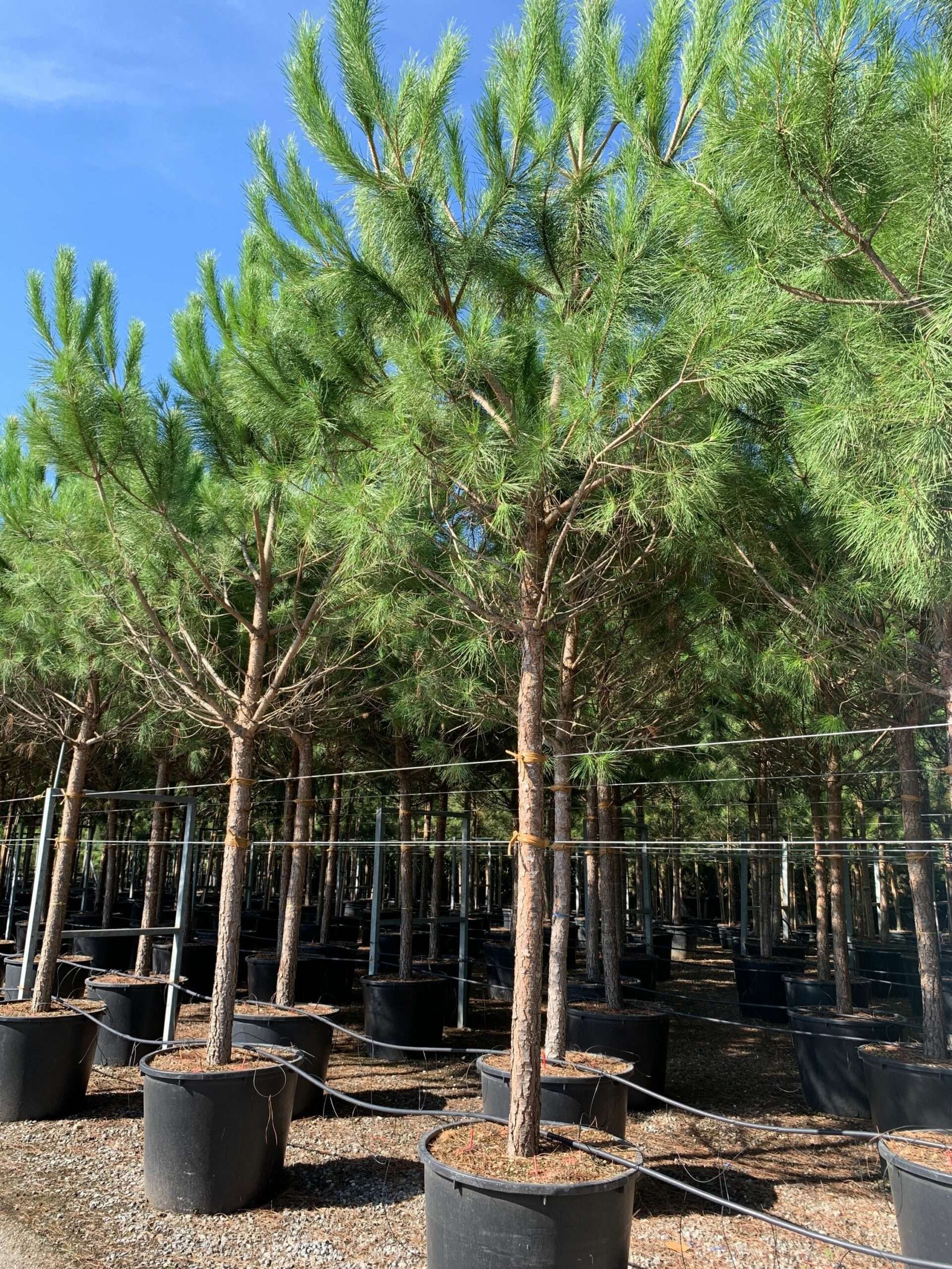 1662453038 scaled d91b7e00