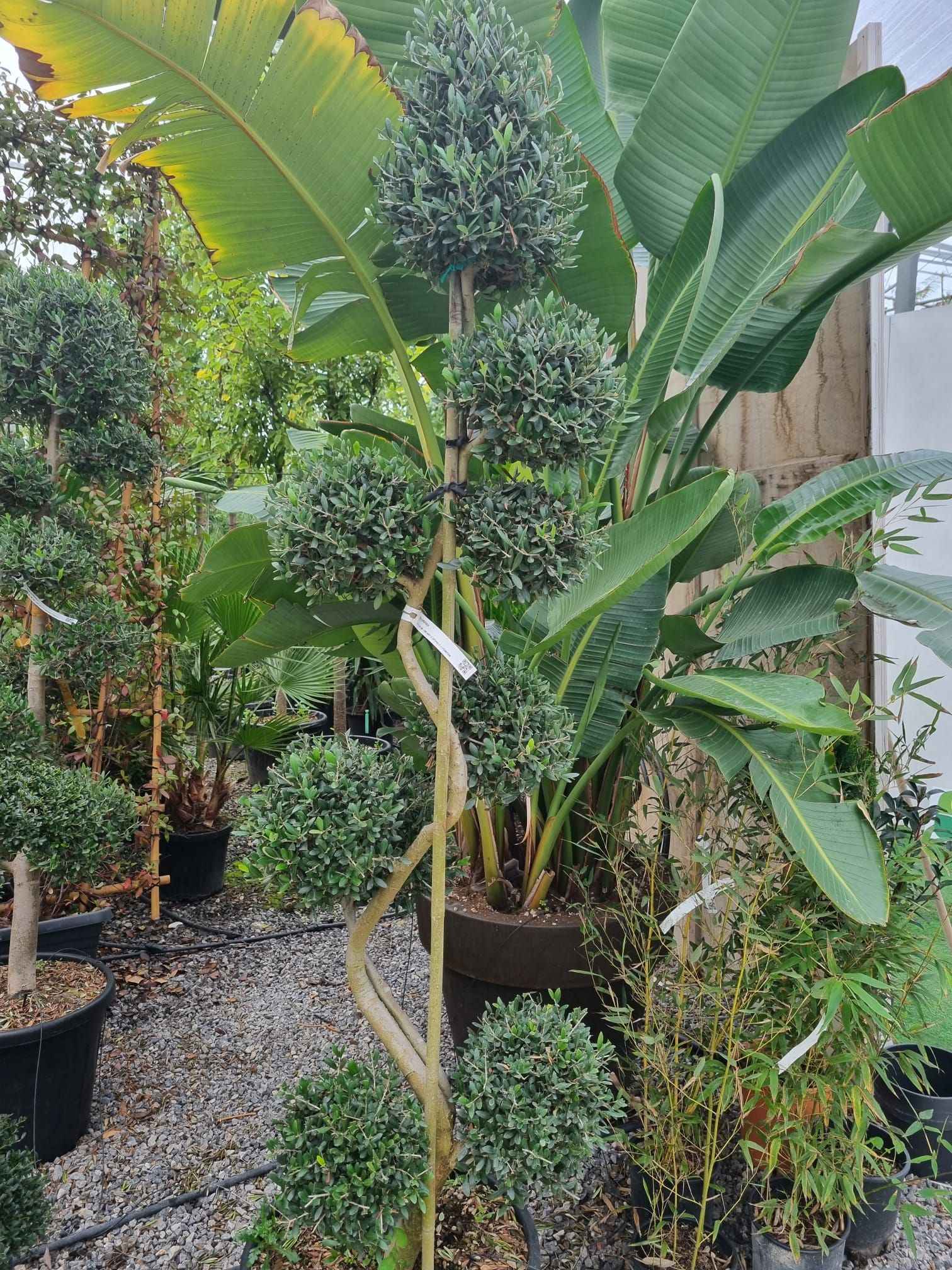 1686124220 Immagine WhatsApp 2022 09 08 ore 18.07.12 d9eb0540