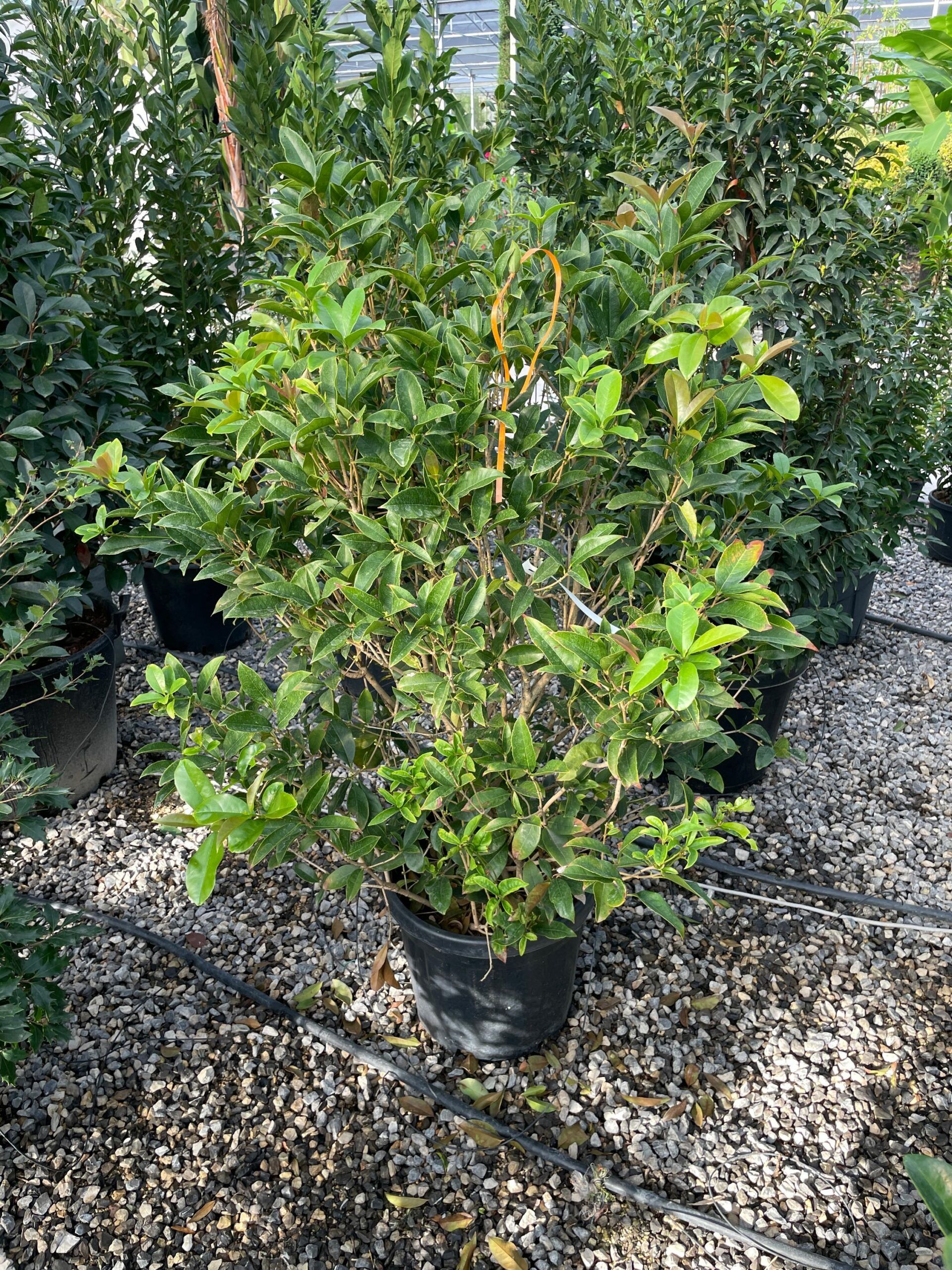 1695885214 scaled d9bd7dab