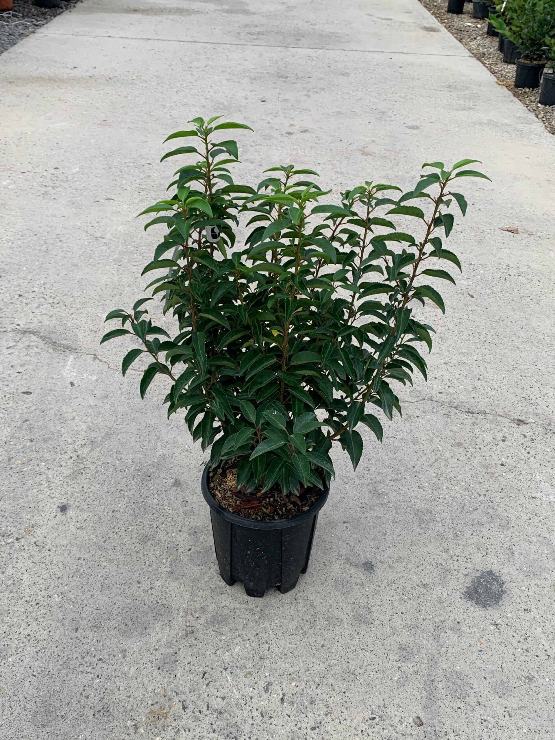 1634826991 scaled da608294