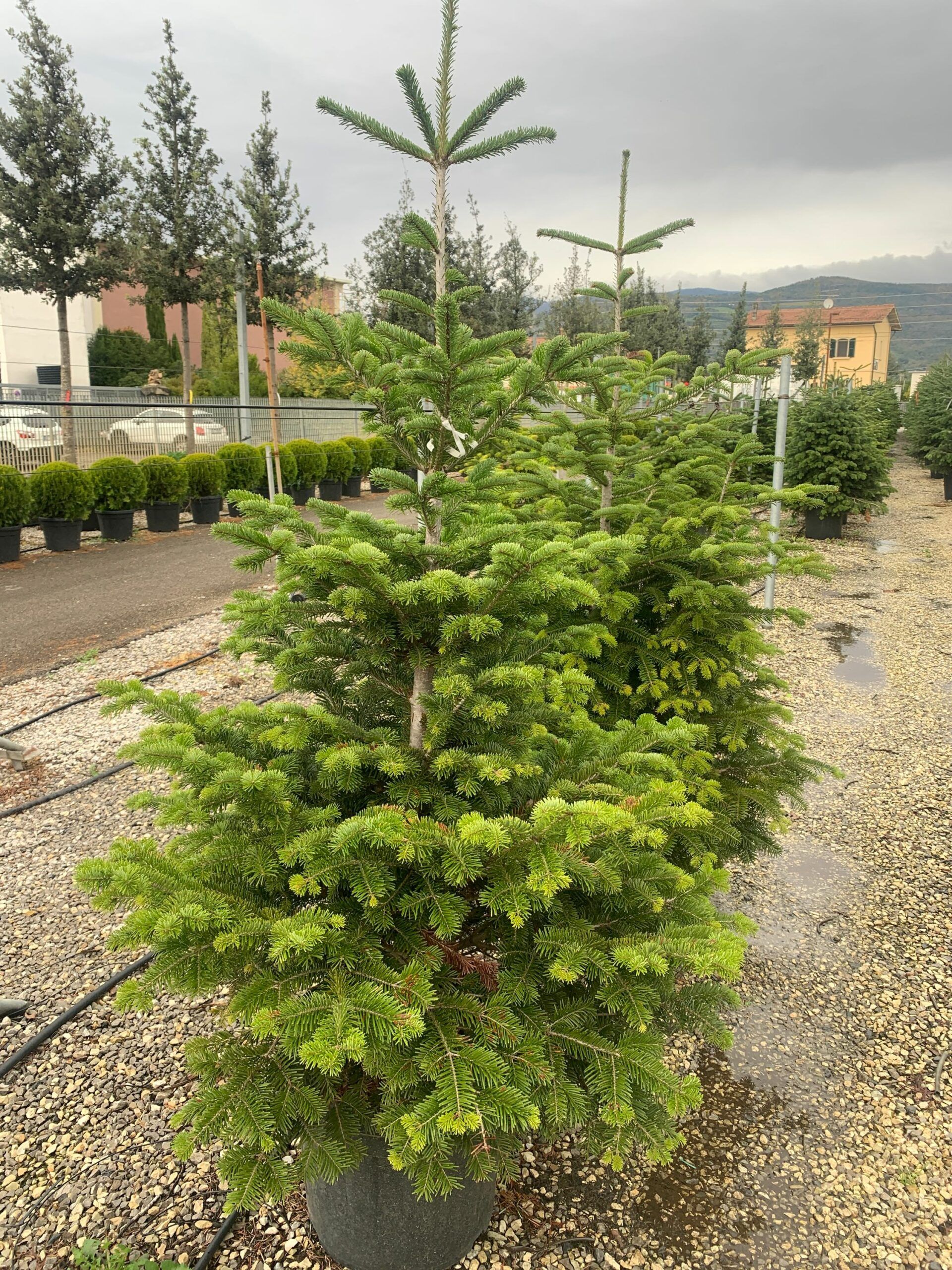 1636974489 scaled da4febe3