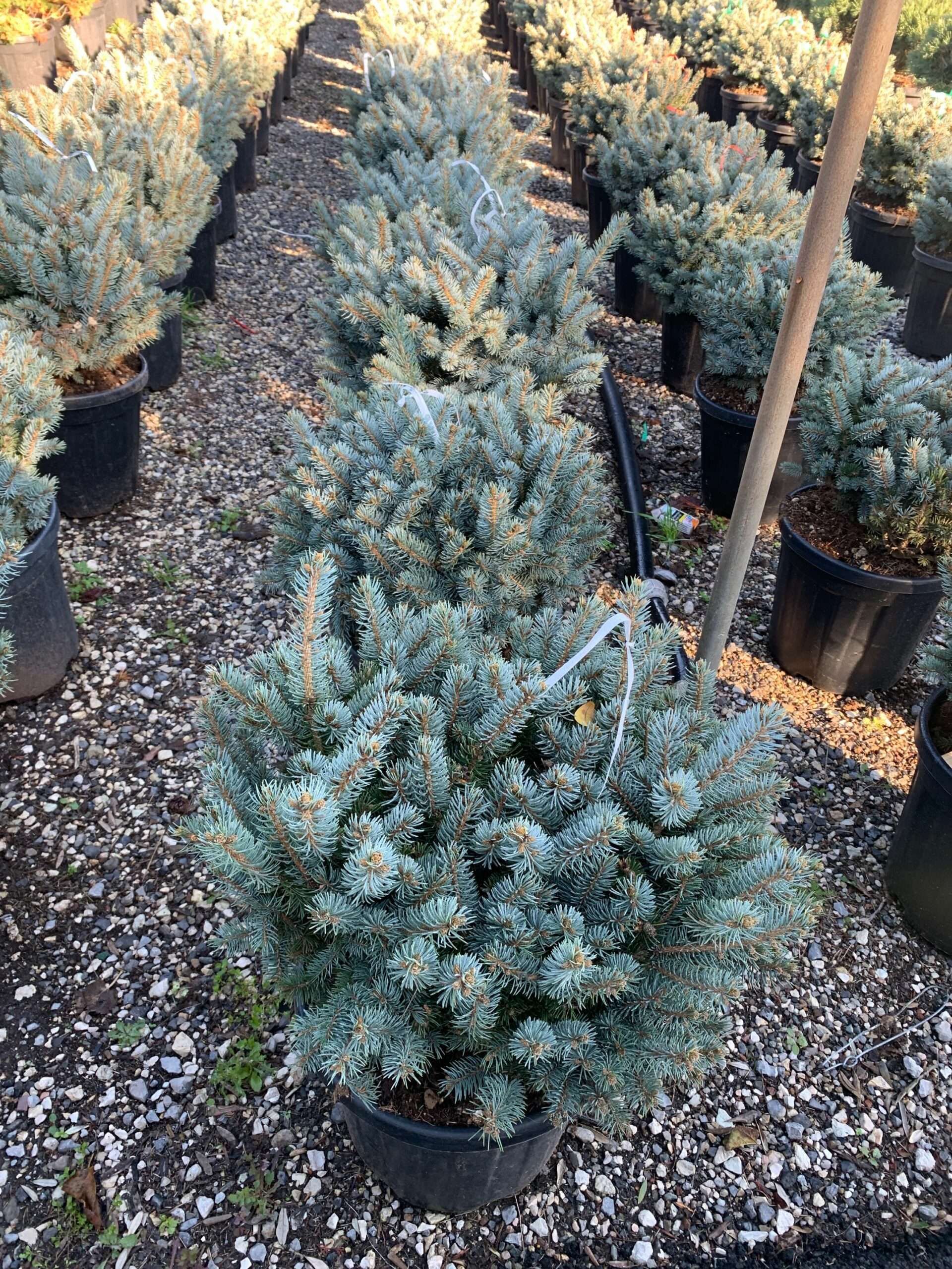 1637312351 scaled da3c22a1