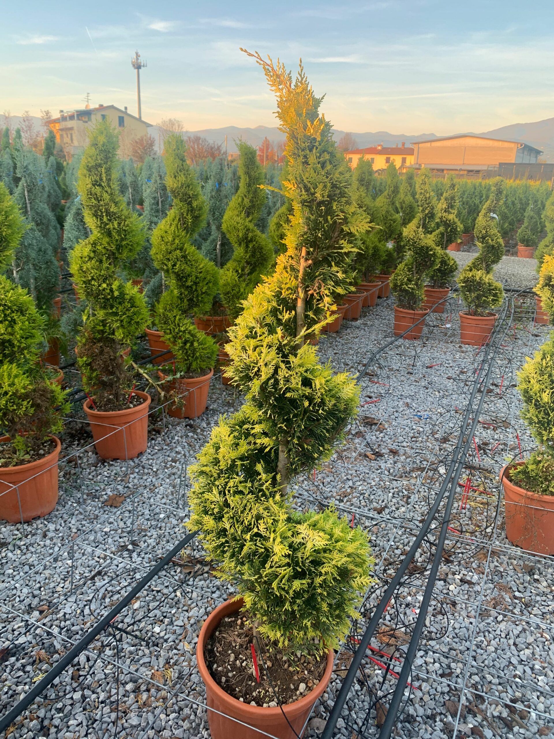 1637334704 scaled da524914