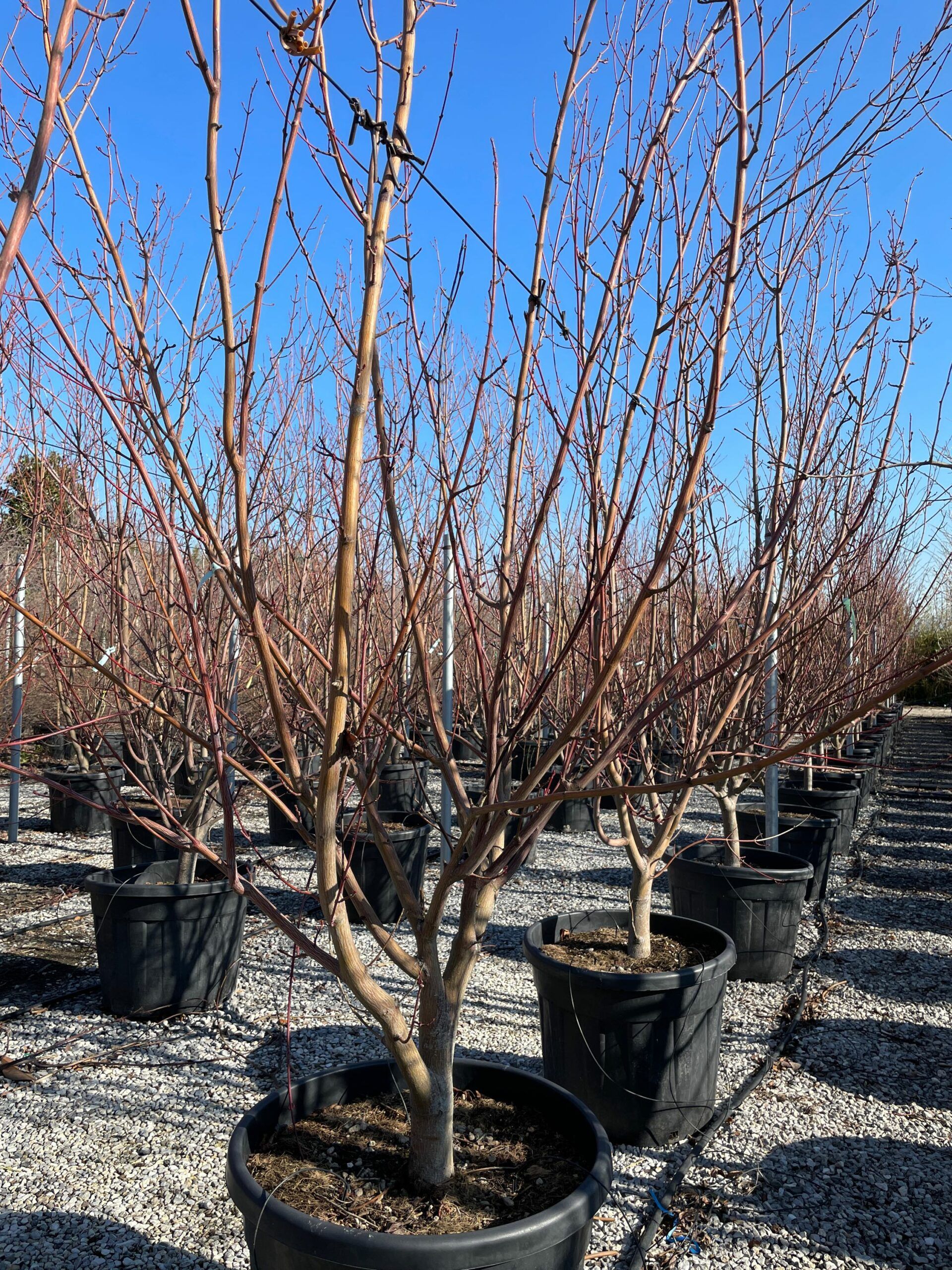 1643110119 scaled daebdfb7