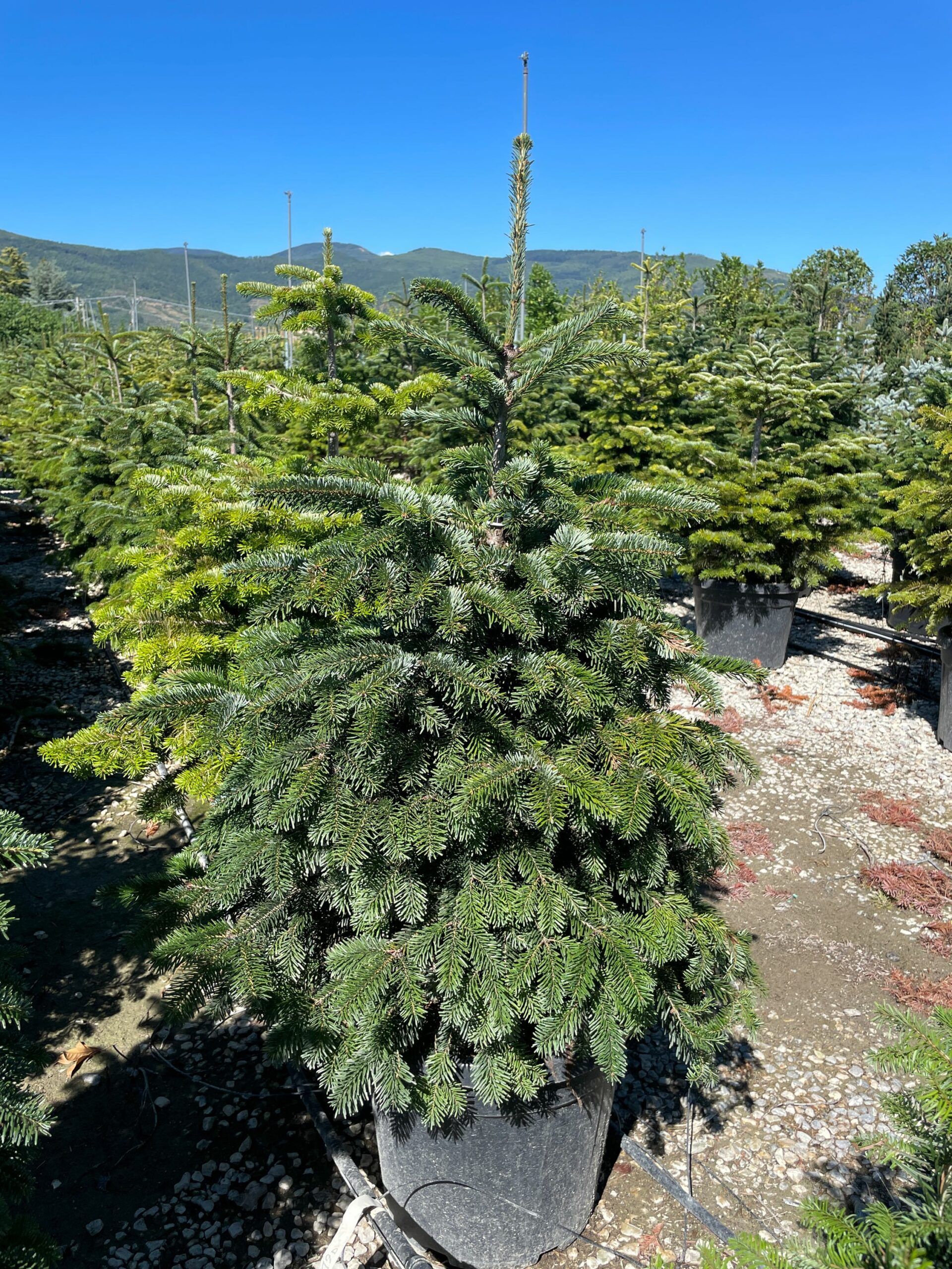 1661261429 scaled da530480