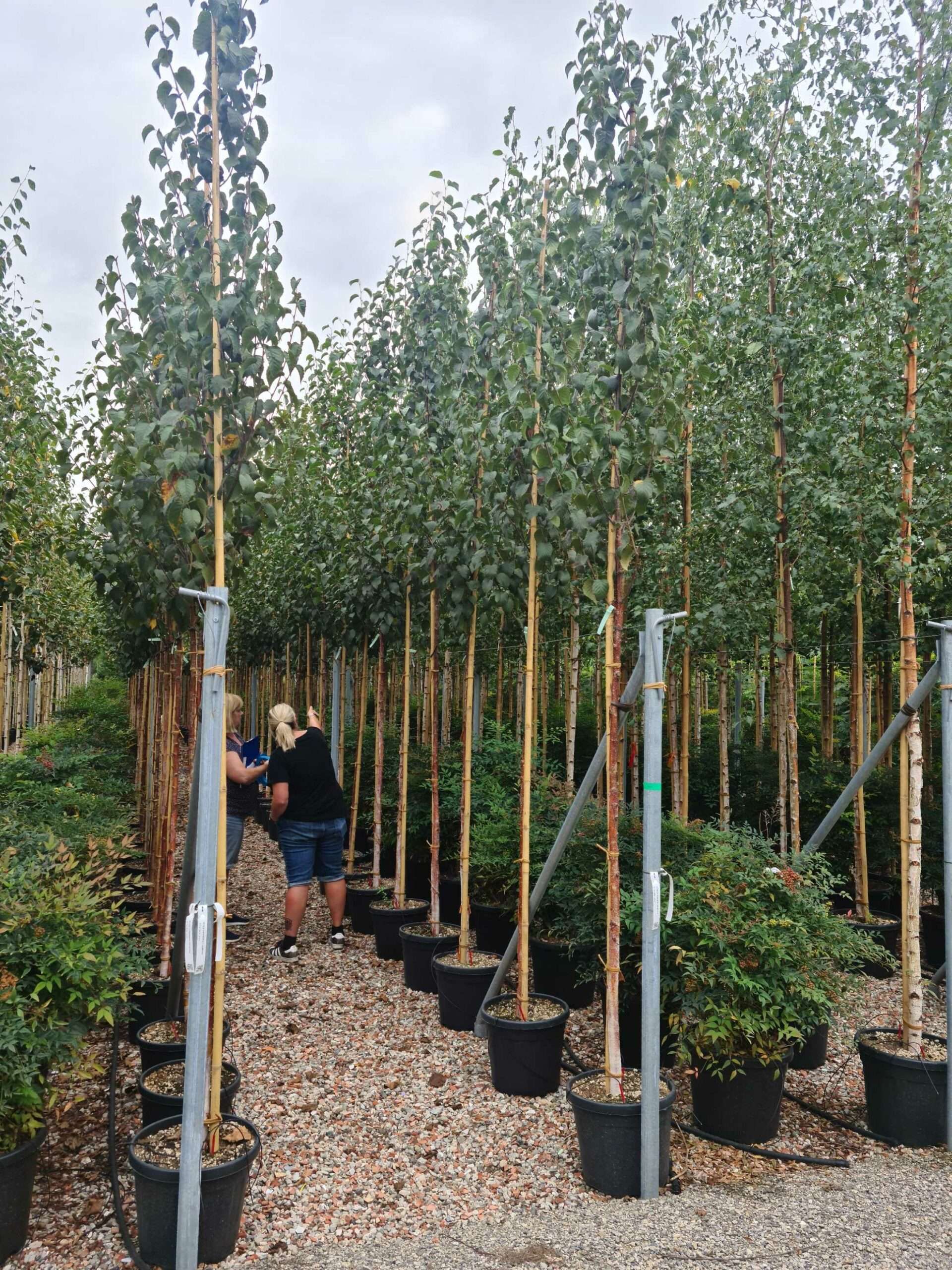 1663146267 scaled daa5d6a4