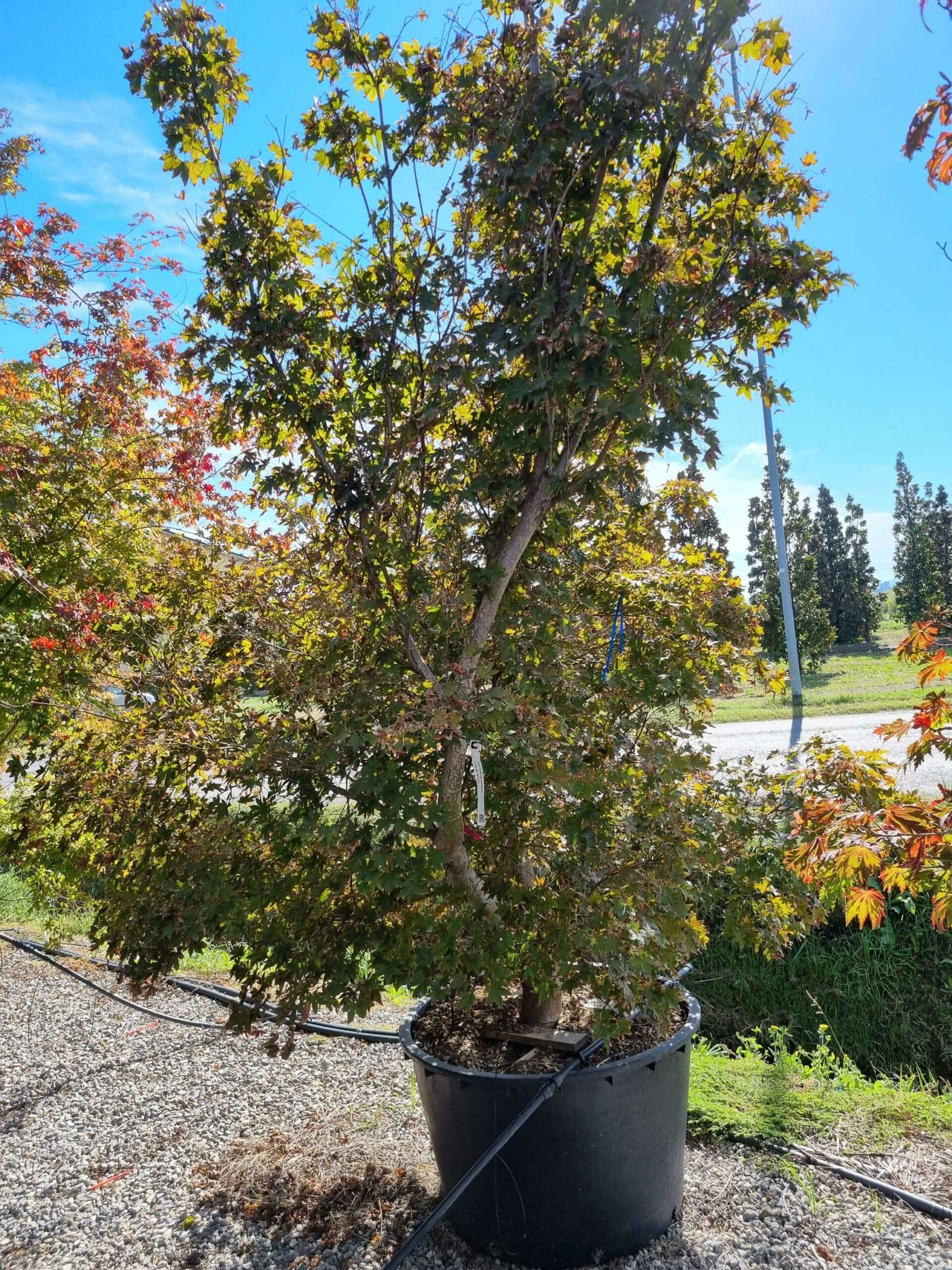 1665049171 scaled da0debe2