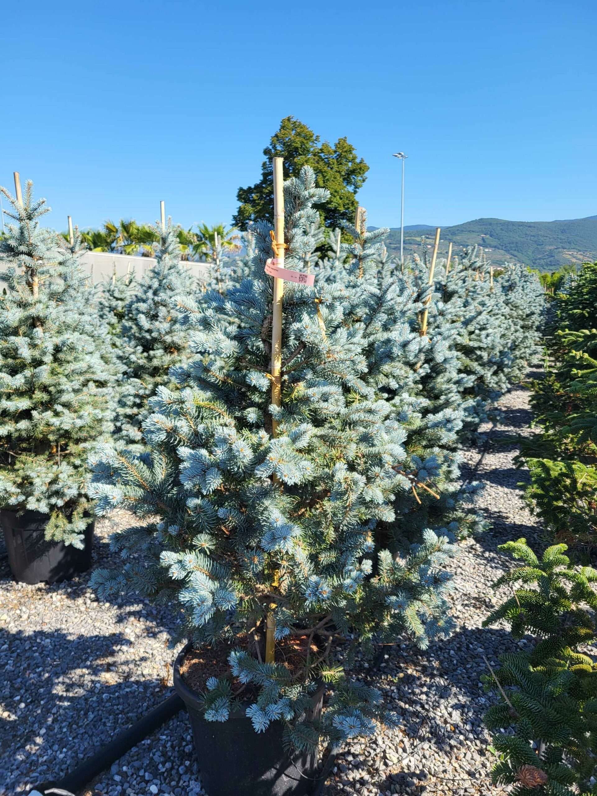 1691653108 scaled dad54ee9