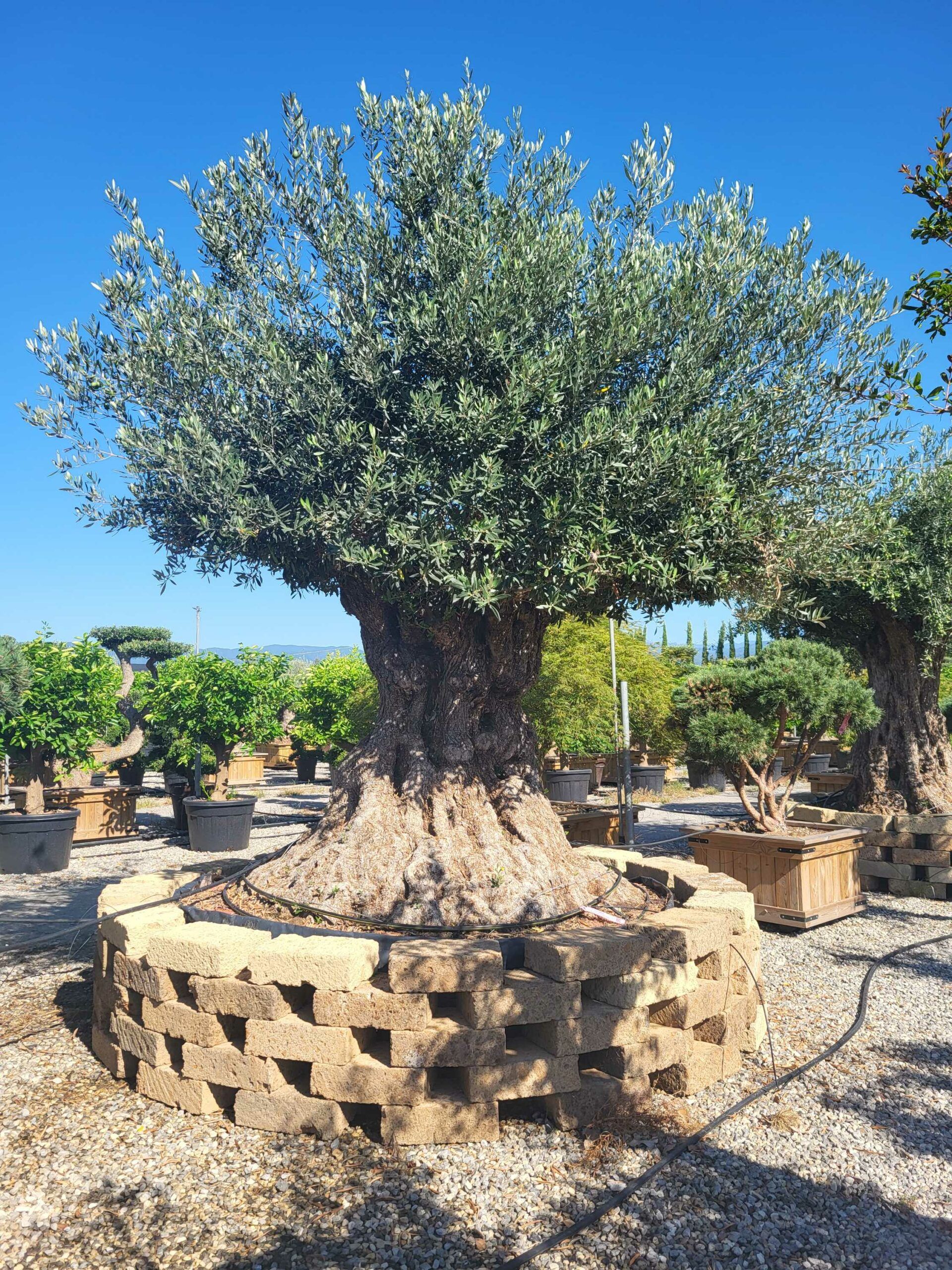 1691654583 scaled da93be98