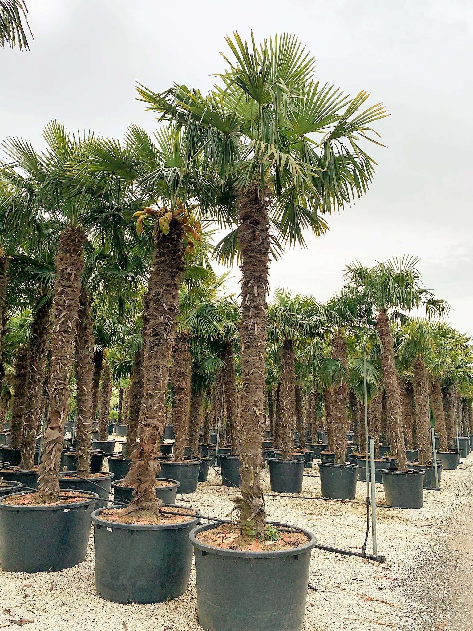 1619536870 01e5057590e2e43d5d82d07219c38fc3d8430faf8d db944139