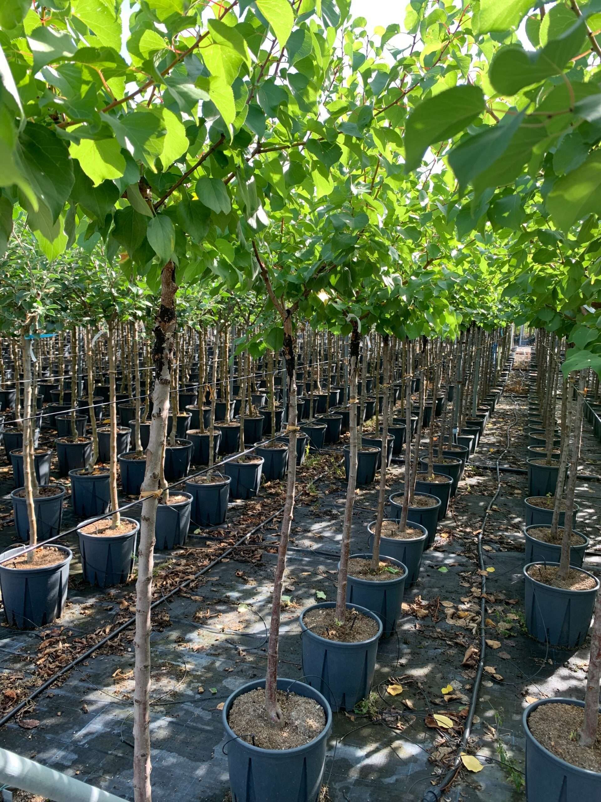 1662365355 scaled db39b9a2